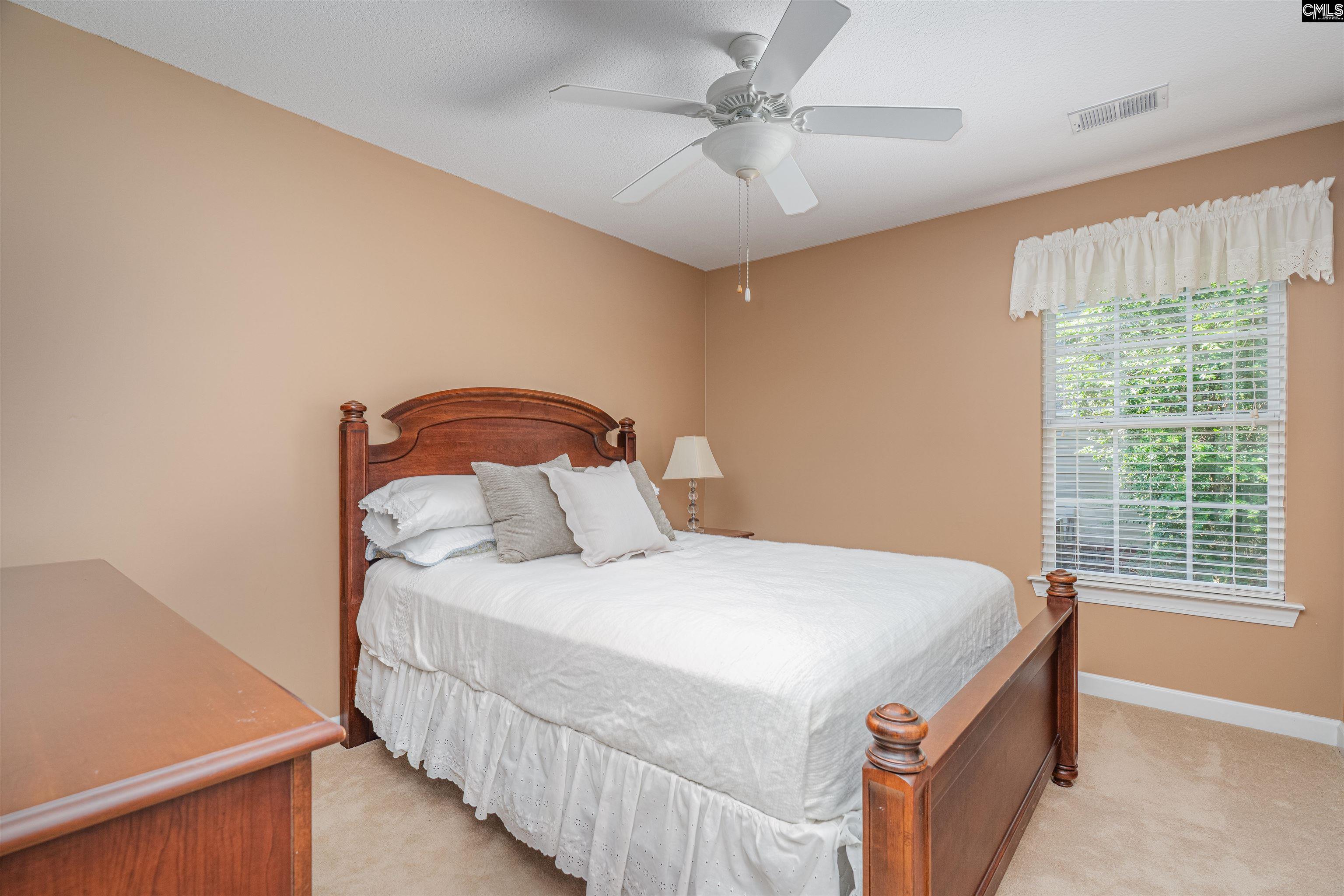 5 Blue Mountain Court, Irmo, South Carolina image 22