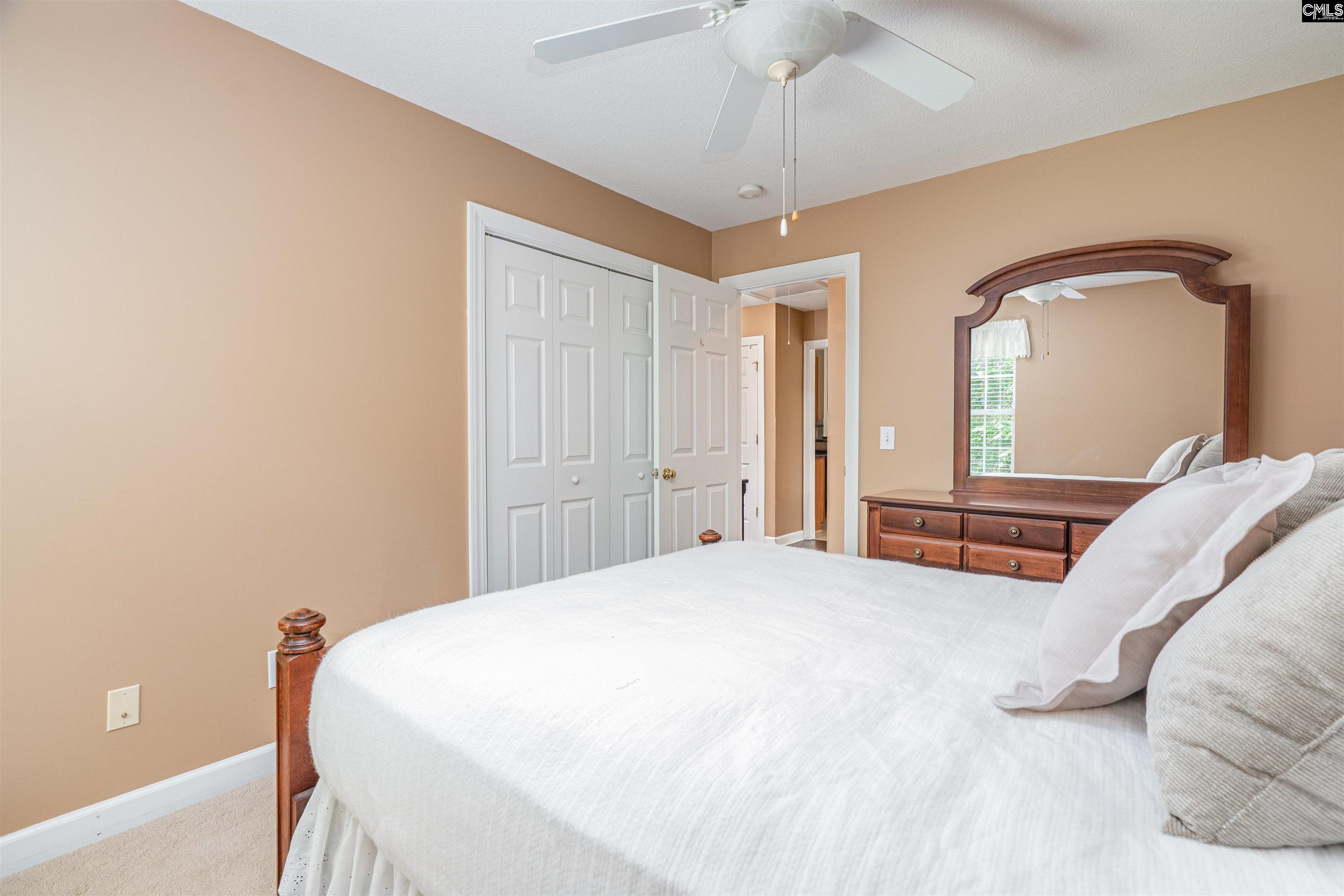 5 Blue Mountain Court, Irmo, South Carolina image 23
