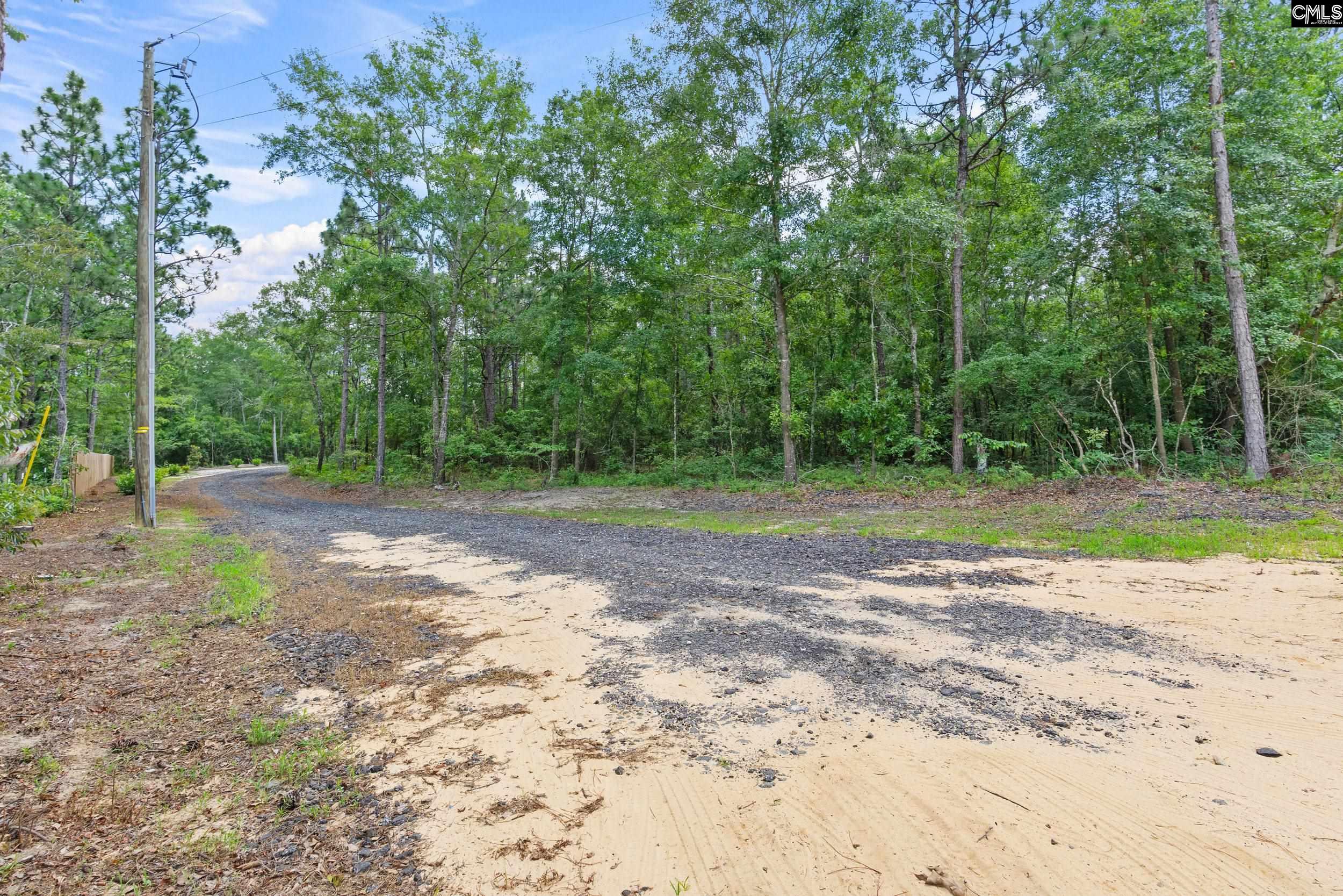 139 Russell Rowe Road, Leesville, South Carolina image 6