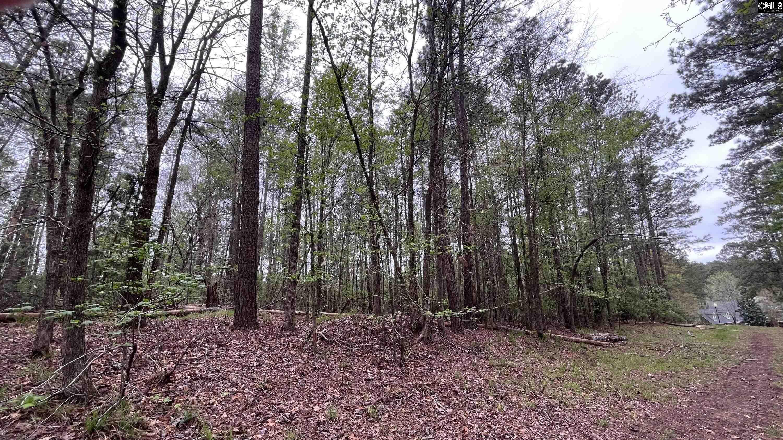 Lot 29 Belfast Court, North Augusta, South Carolina image 11