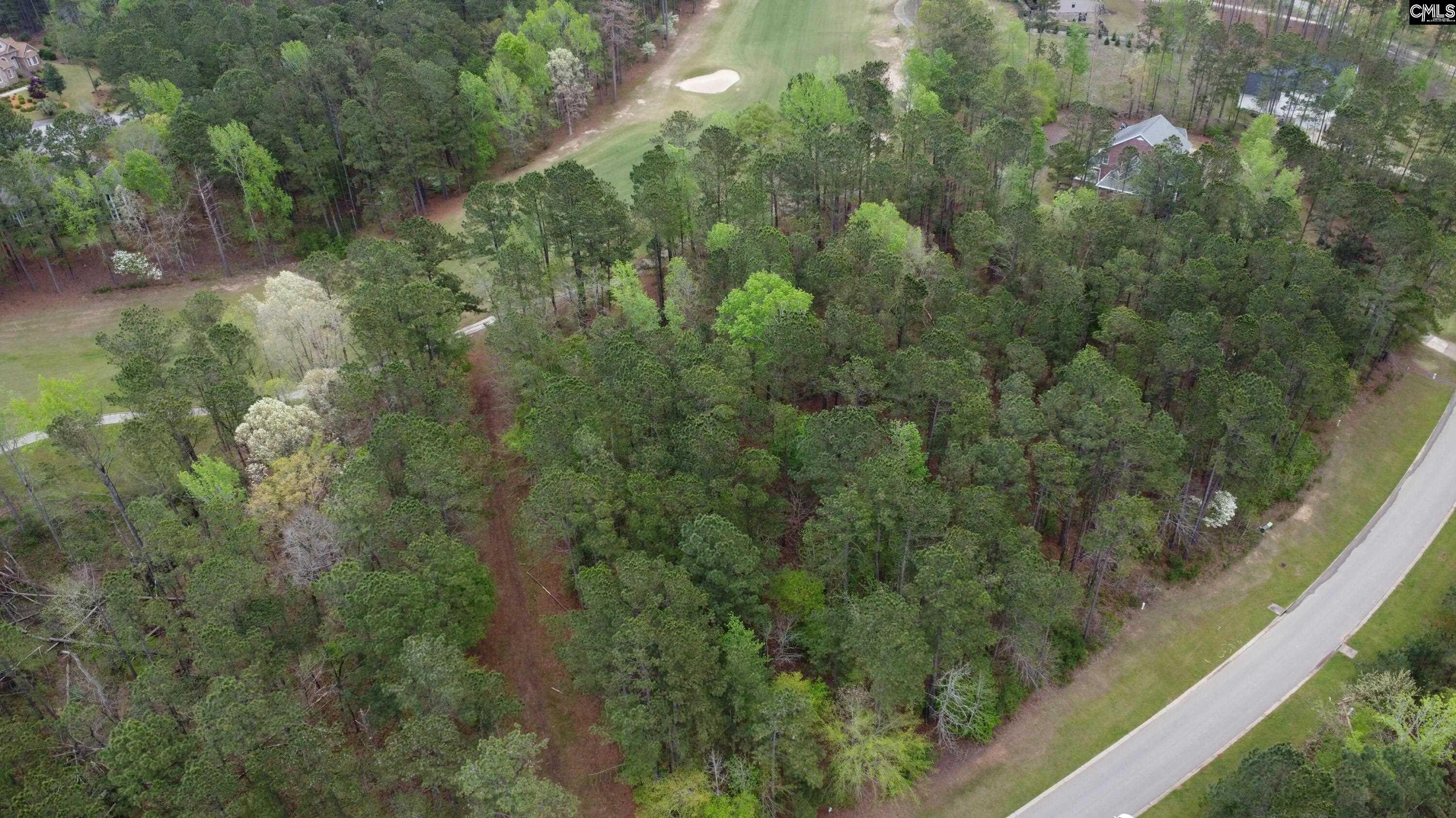 Lot 29 Belfast Court, North Augusta, South Carolina image 5