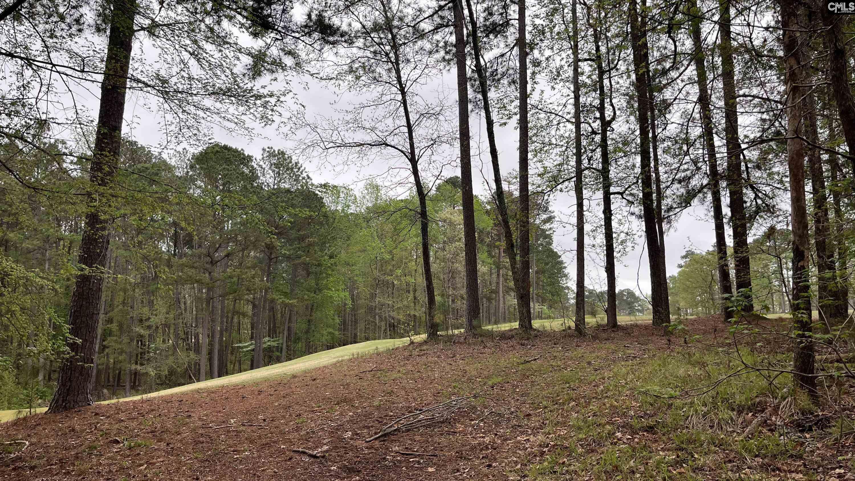 Lot 29 Belfast Court, North Augusta, South Carolina image 10
