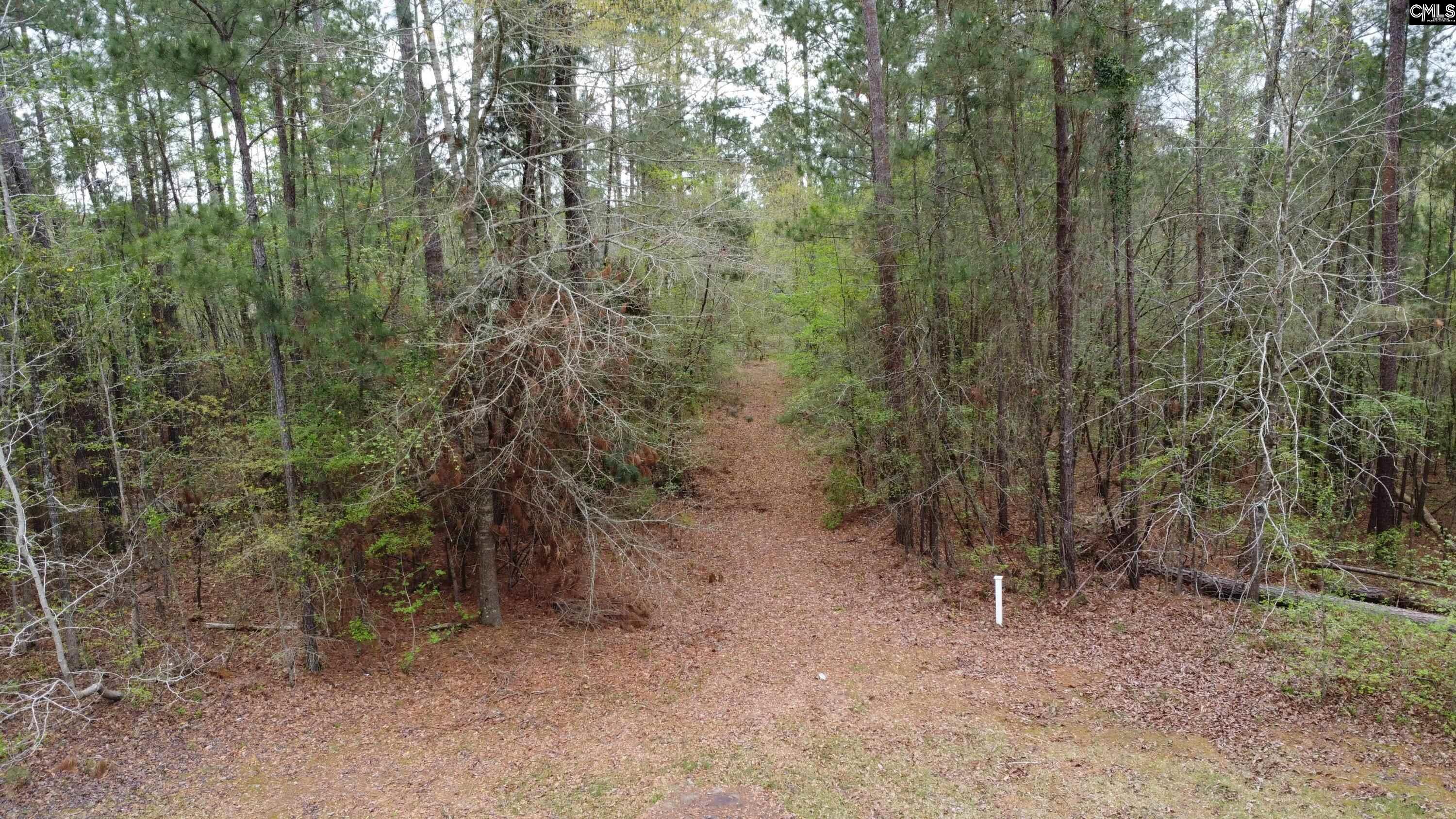 Lot 31 Post Office Court, North Augusta, South Carolina image 6