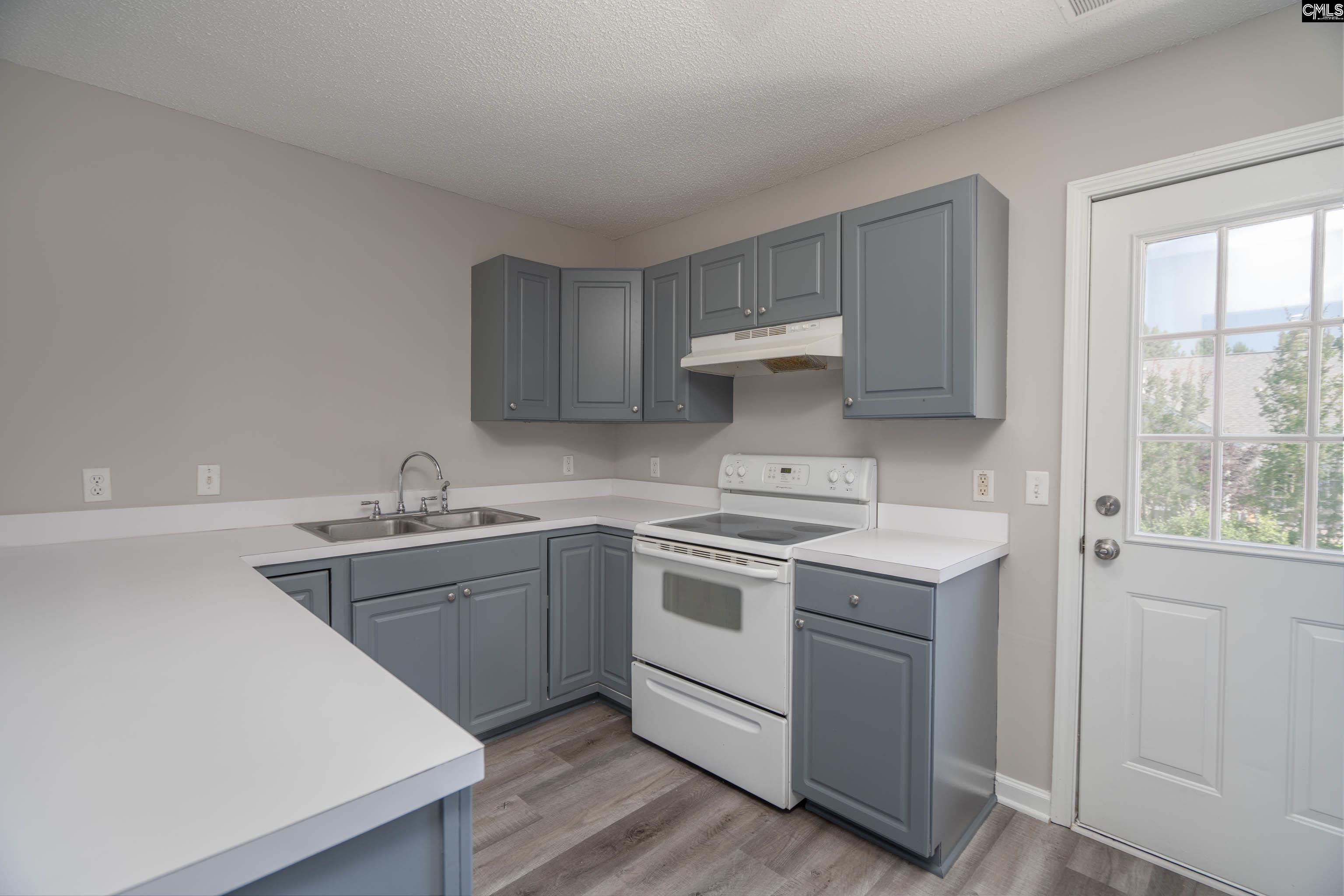119 W Horn Court, Chapin, South Carolina image 12