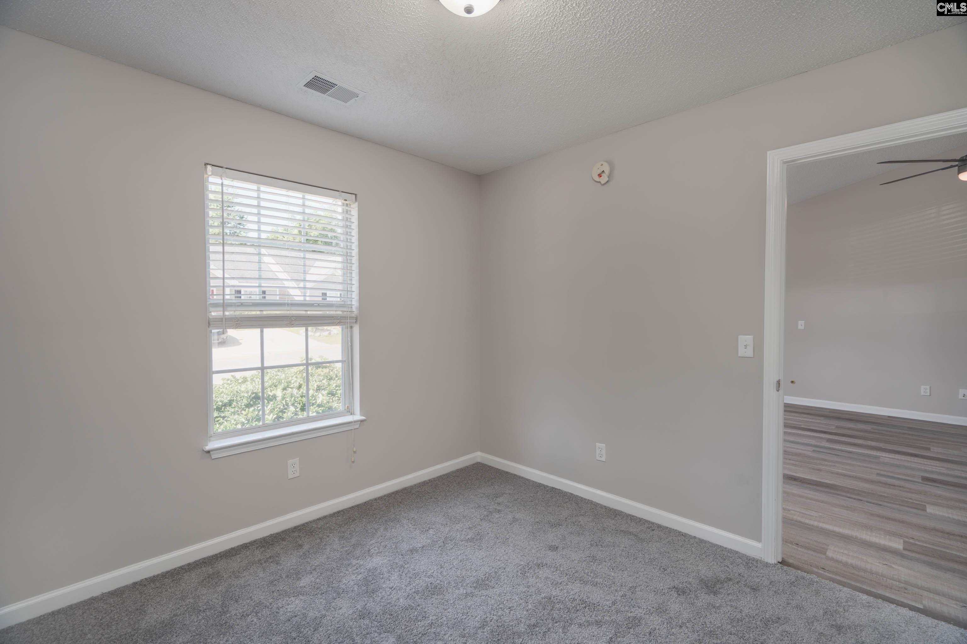 119 W Horn Court, Chapin, South Carolina image 17
