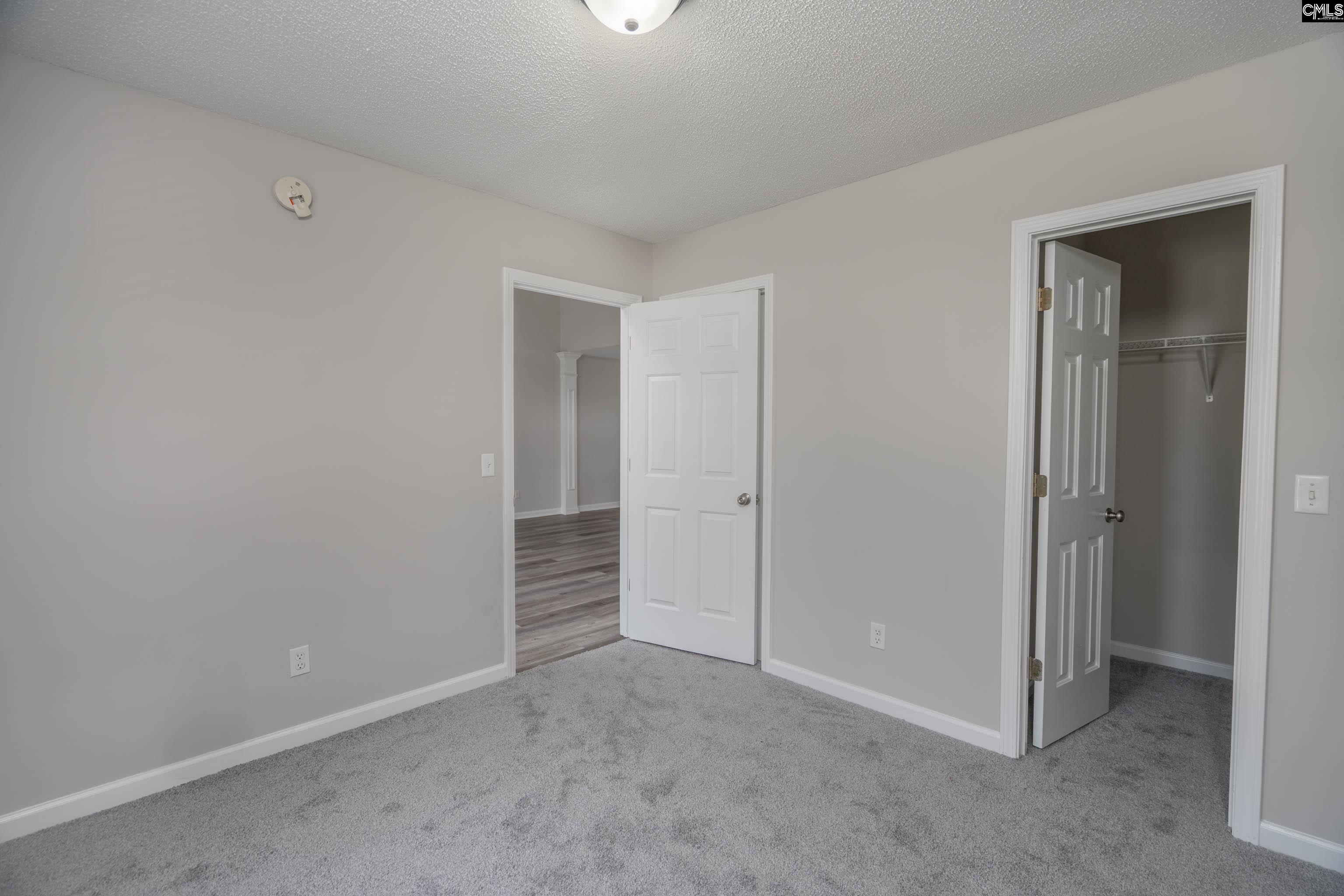 119 W Horn Court, Chapin, South Carolina image 18
