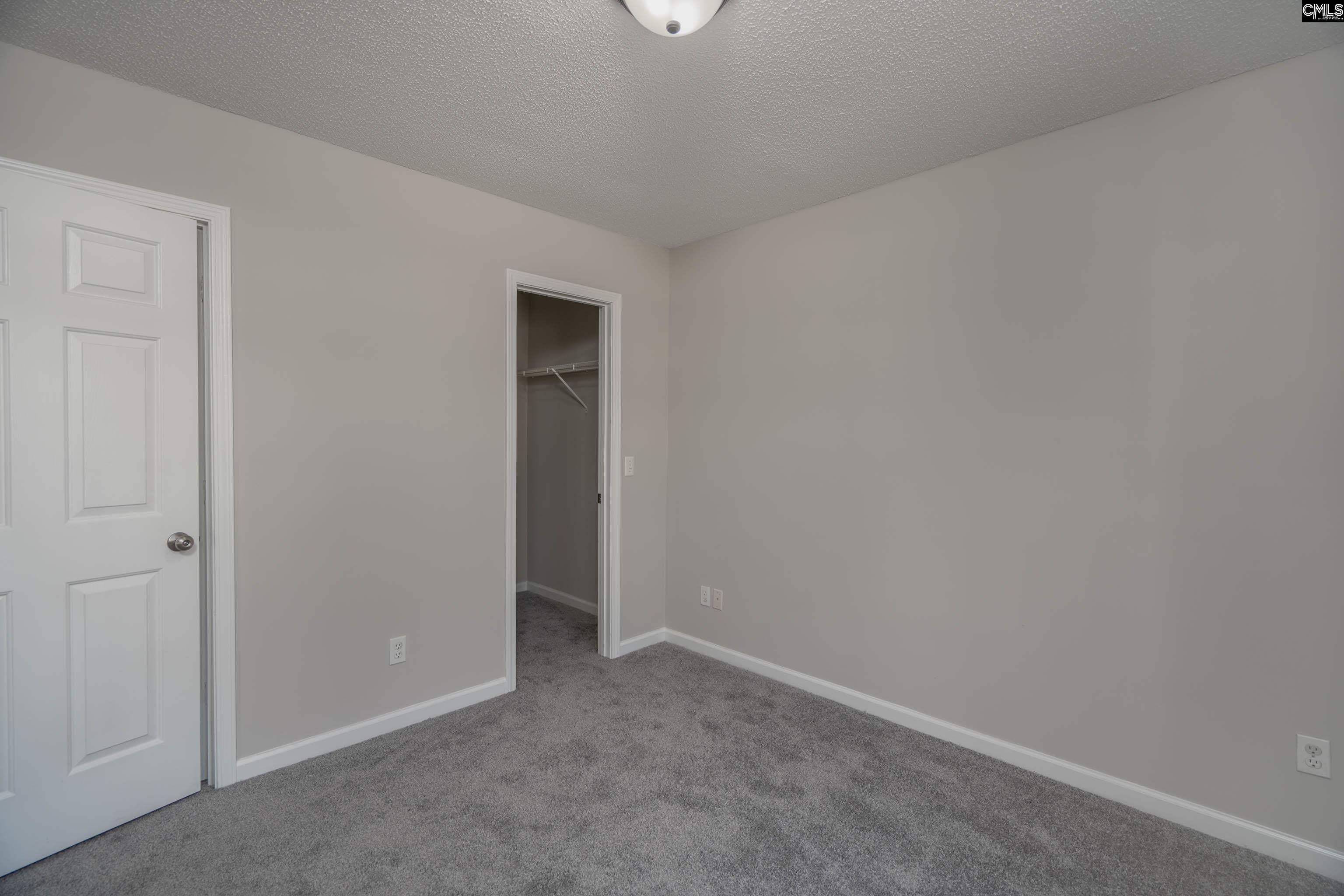 119 W Horn Court, Chapin, South Carolina image 19