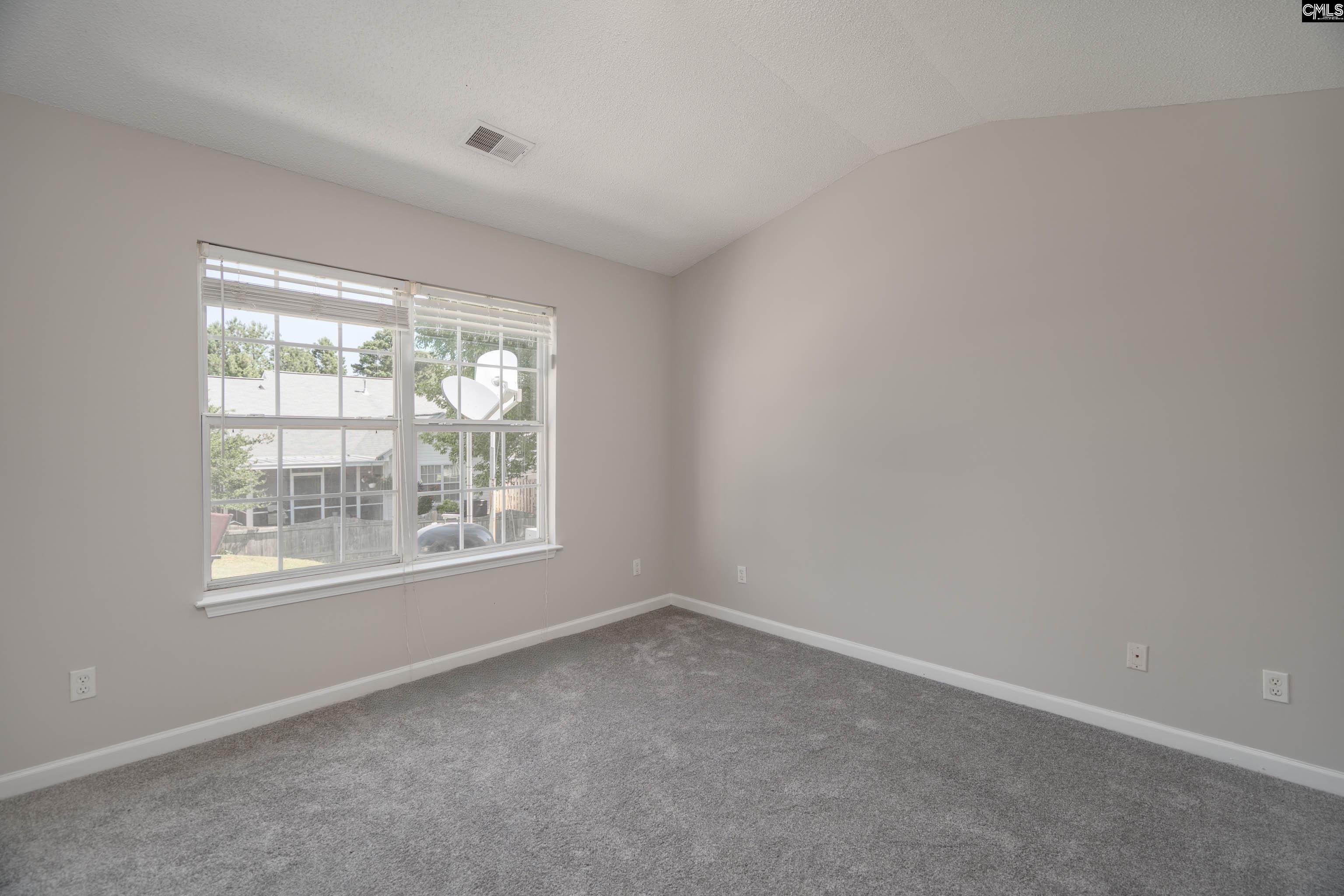 119 W Horn Court, Chapin, South Carolina image 21