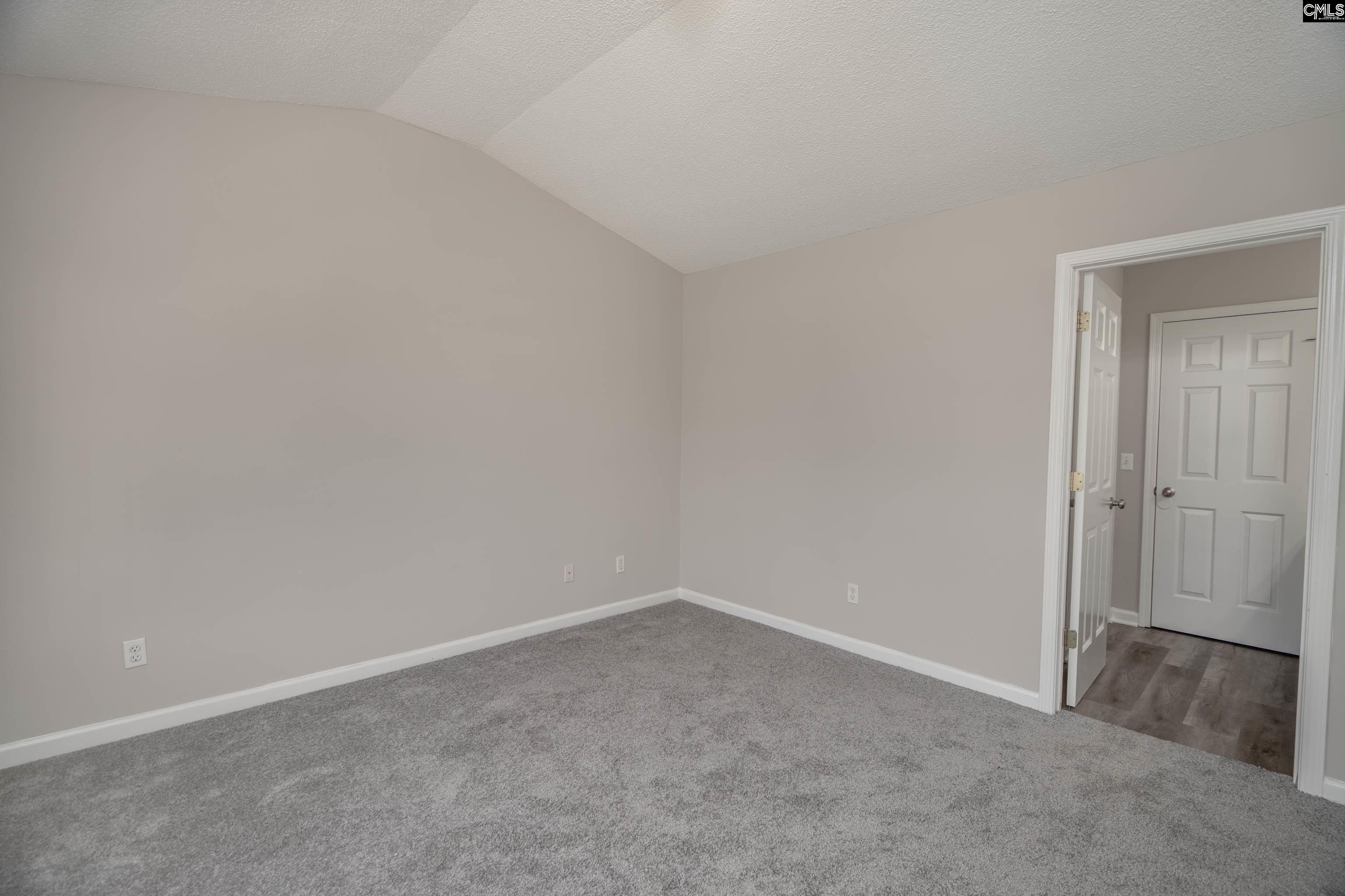 119 W Horn Court, Chapin, South Carolina image 22