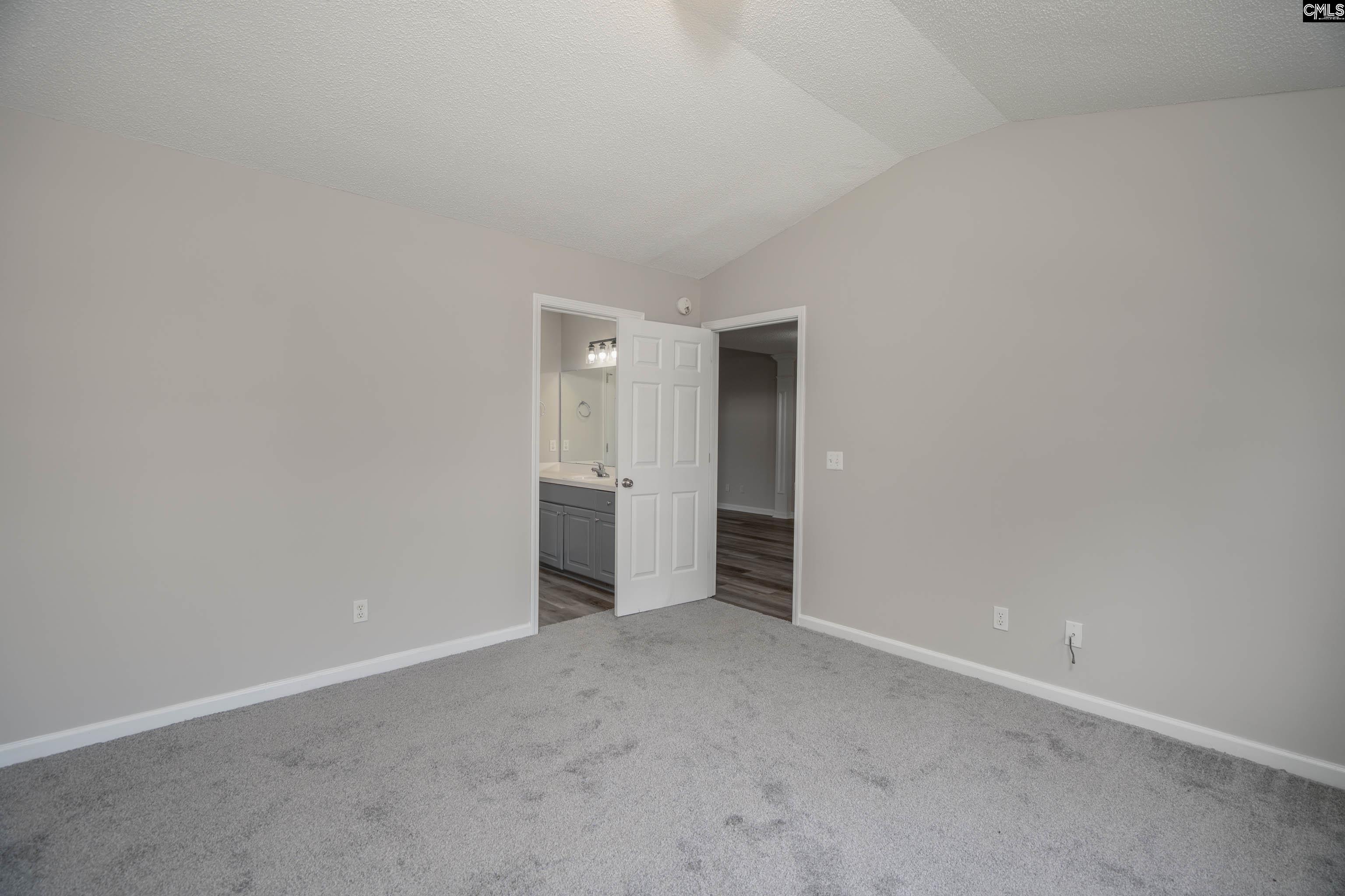 119 W Horn Court, Chapin, South Carolina image 23