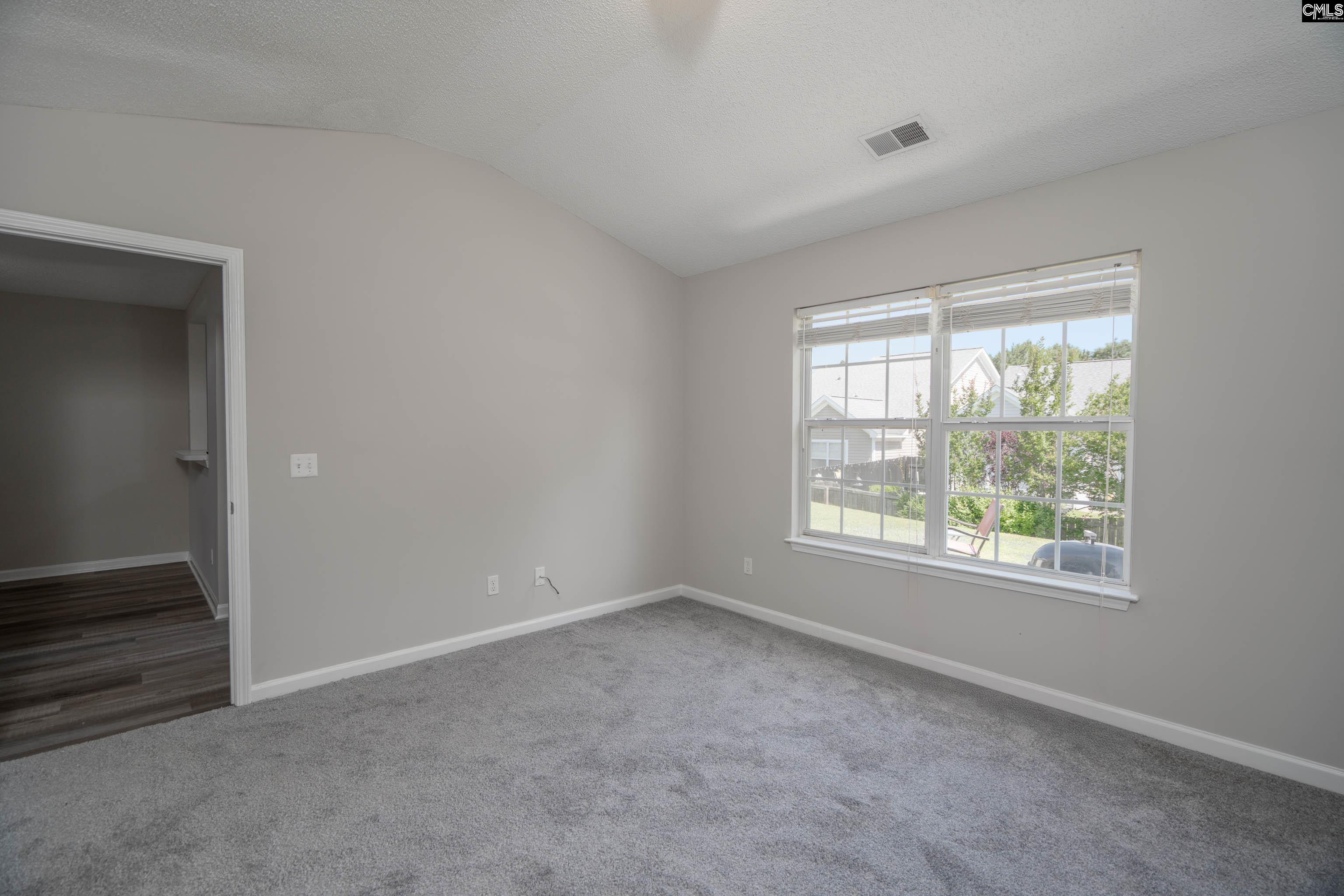 119 W Horn Court, Chapin, South Carolina image 24