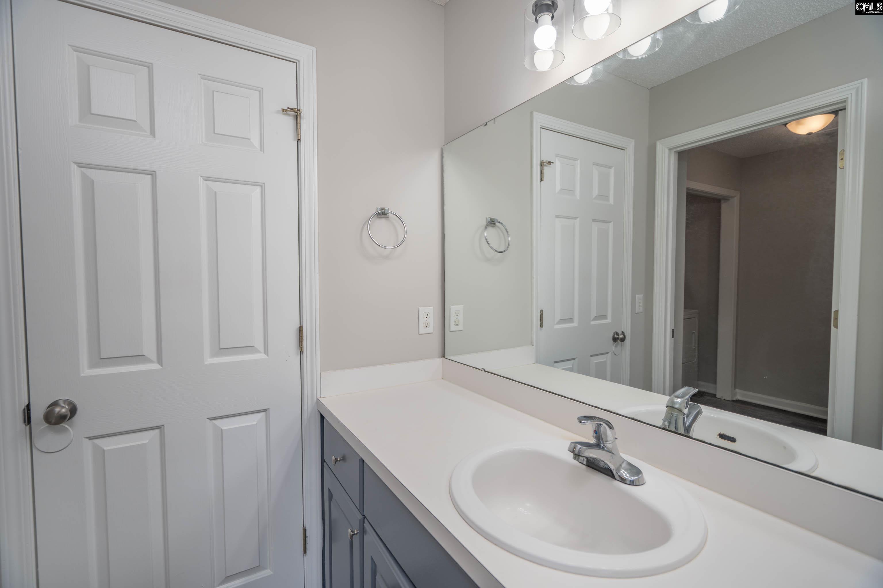 119 W Horn Court, Chapin, South Carolina image 27