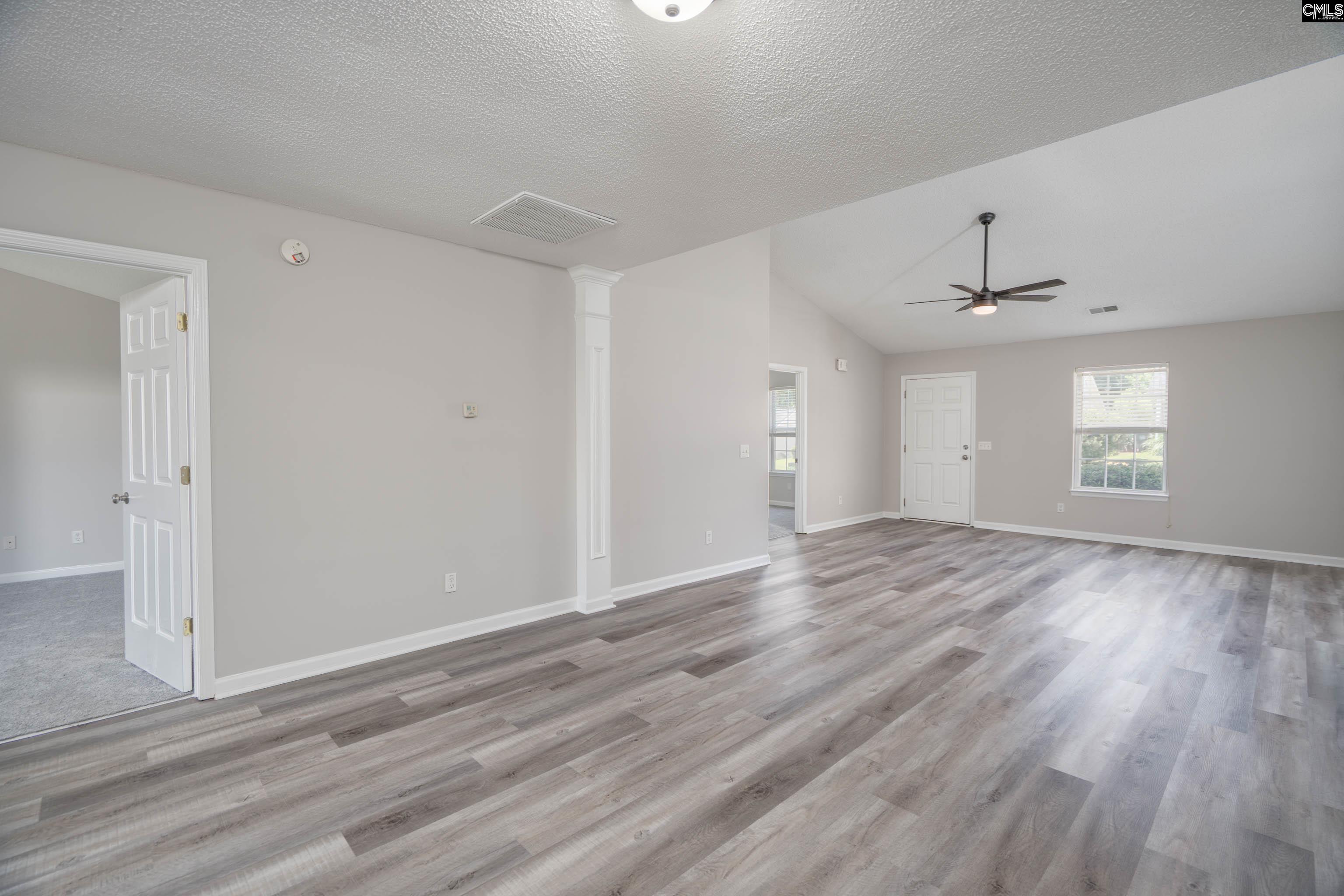 119 W Horn Court, Chapin, South Carolina image 8