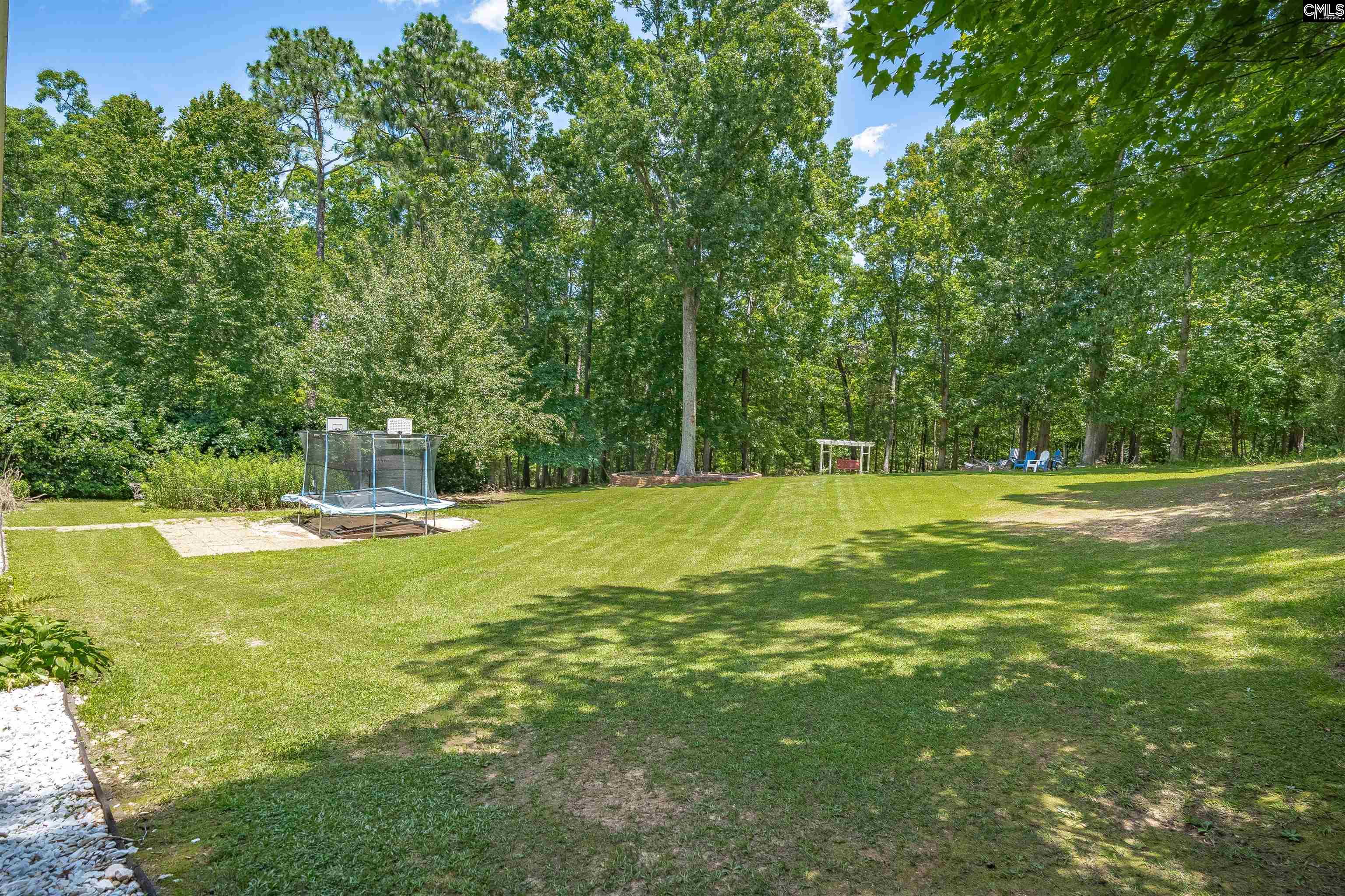 143 Misty Oaks Place, Lexington, South Carolina image 49