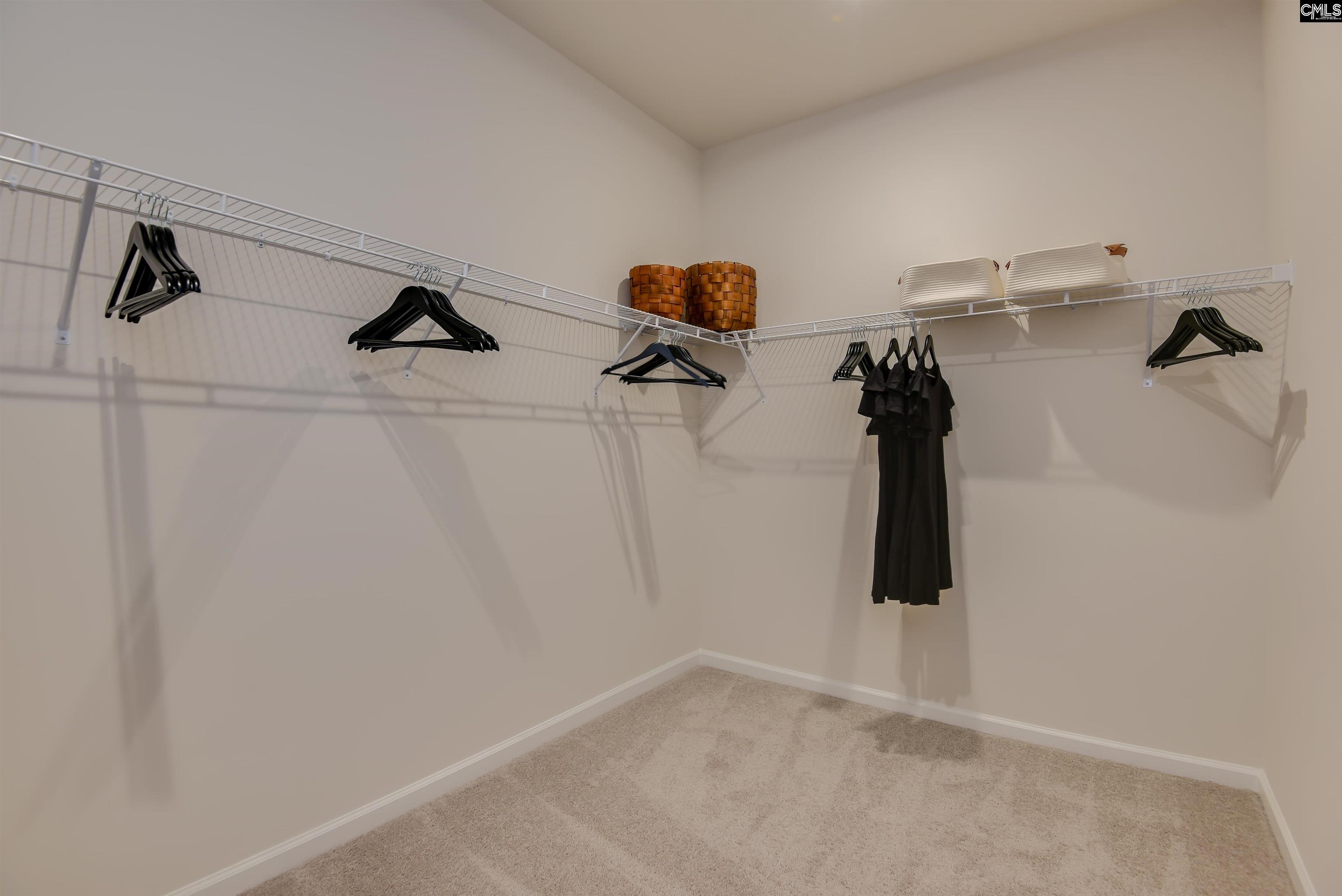 2412 Green Viper Loop, Blythewood, South Carolina image 35