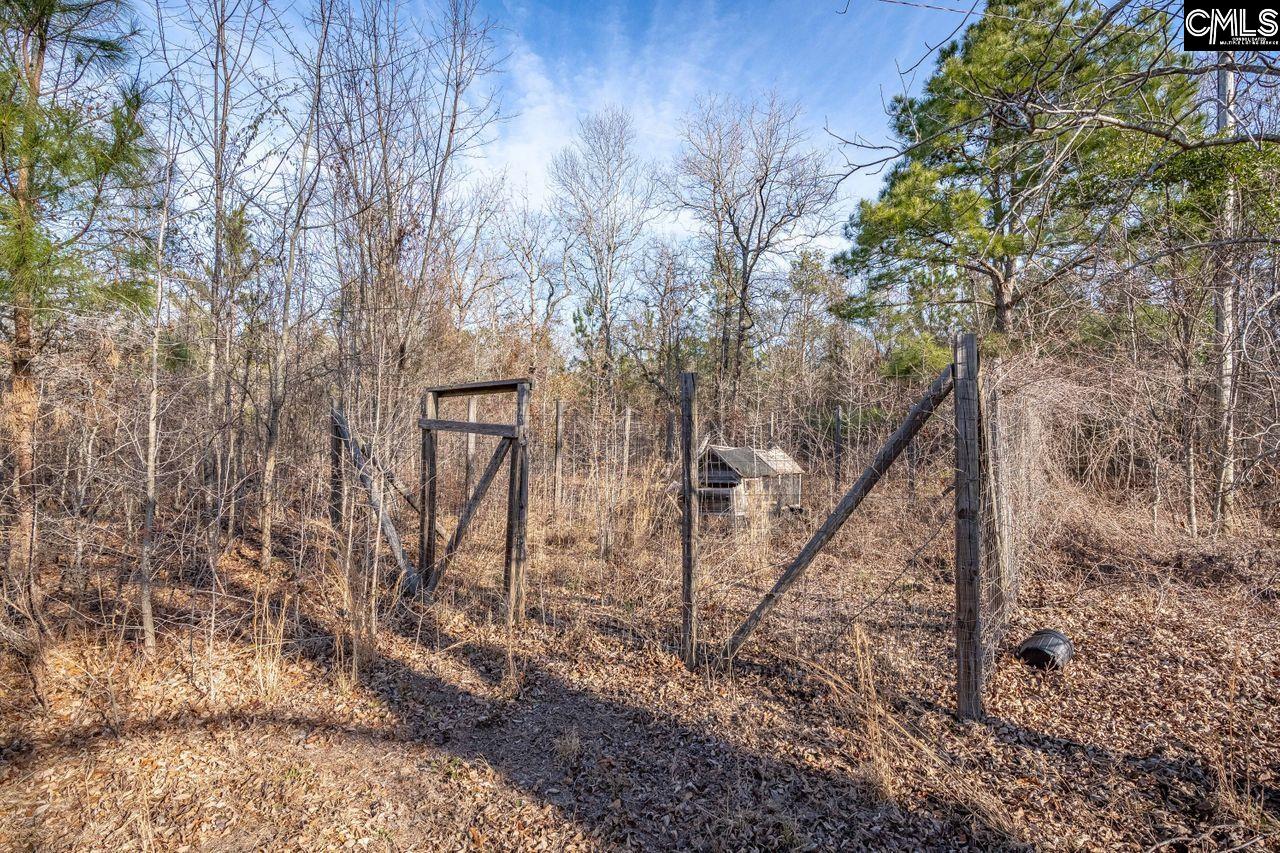 307 Tom Adams Road, Leesville, South Carolina image 43
