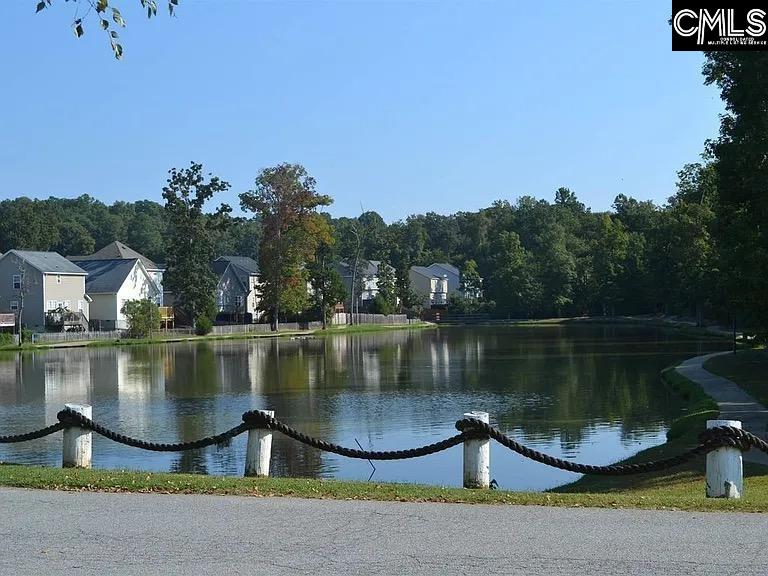 100 Palm Street, Chapin, South Carolina image 30