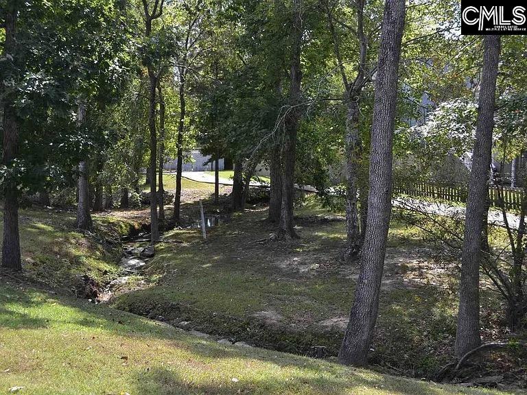 100 Palm Street, Chapin, South Carolina image 31