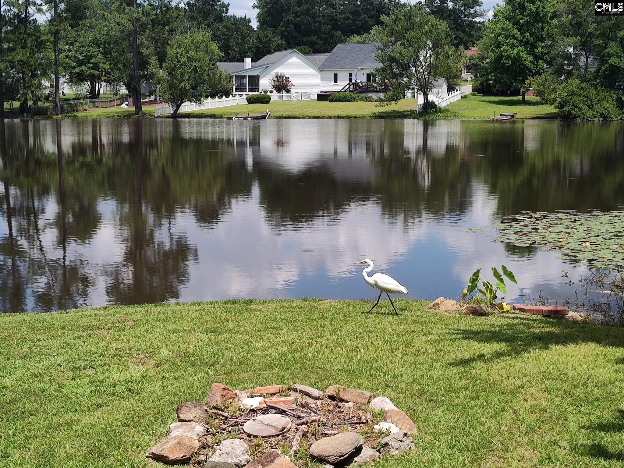 135 W Lake Drive, Lexington, South Carolina image 17