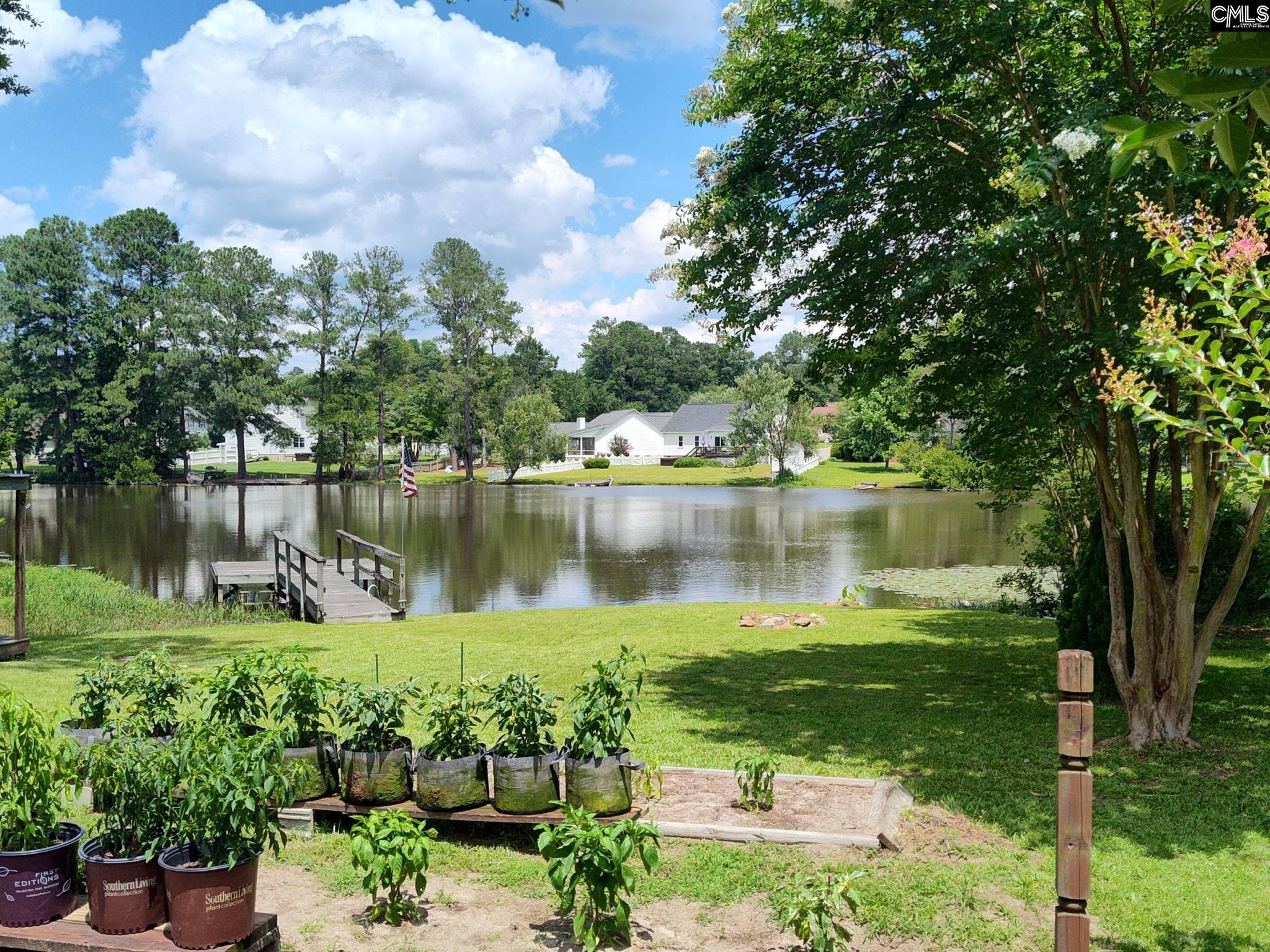 135 W Lake Drive, Lexington, South Carolina image 3