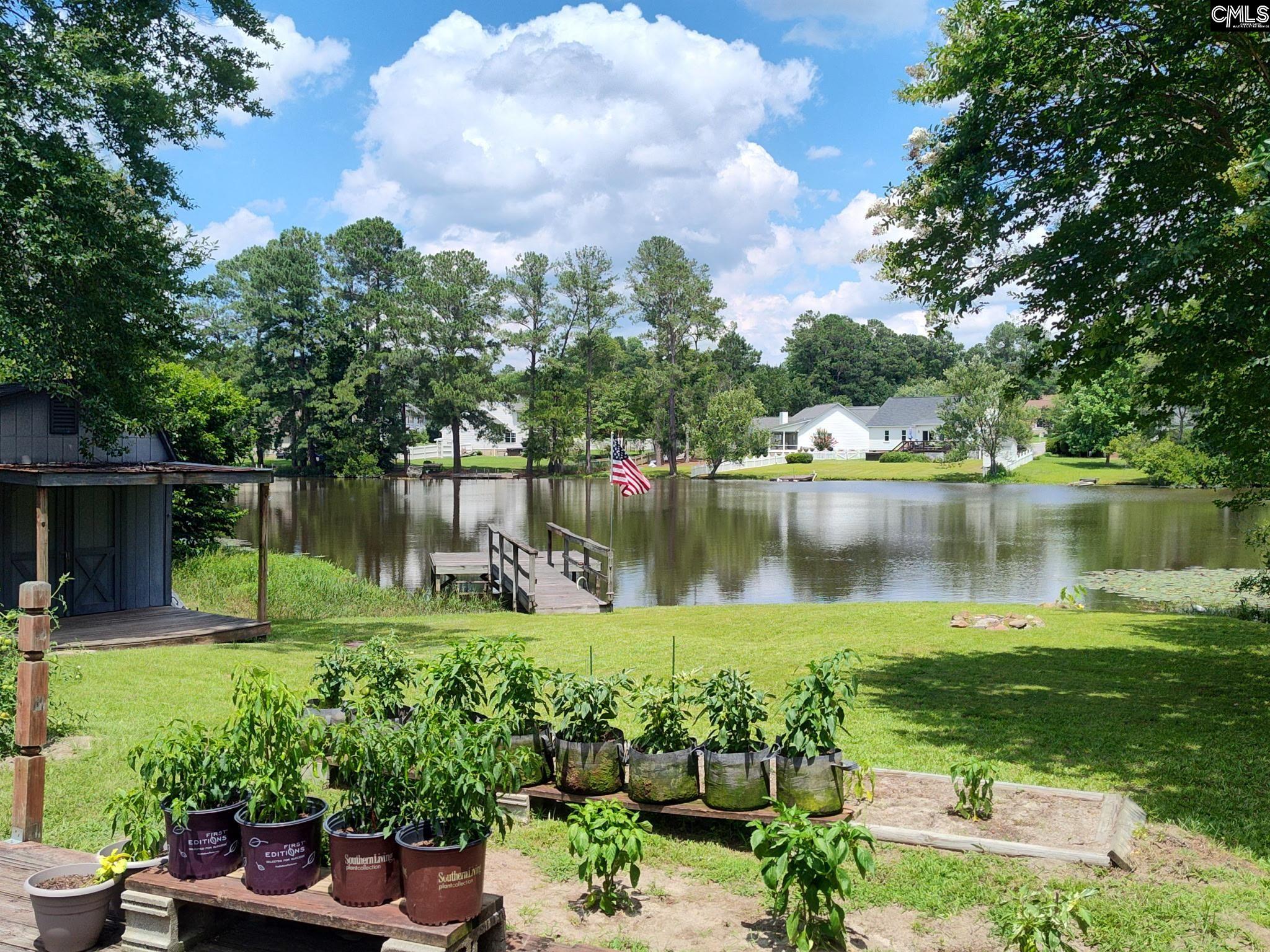 135 W Lake Drive, Lexington, South Carolina image 22