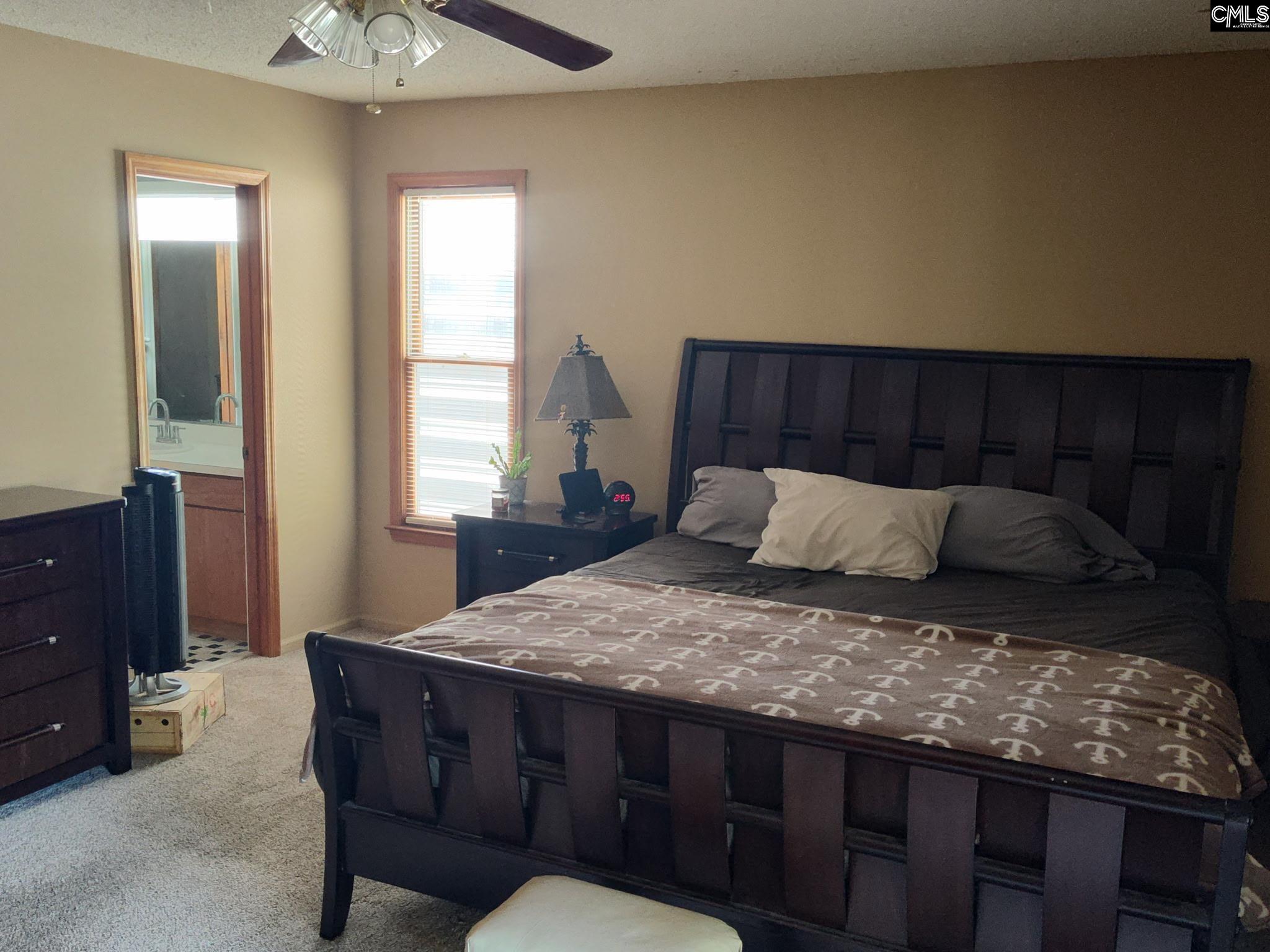 135 W Lake Drive, Lexington, South Carolina image 28