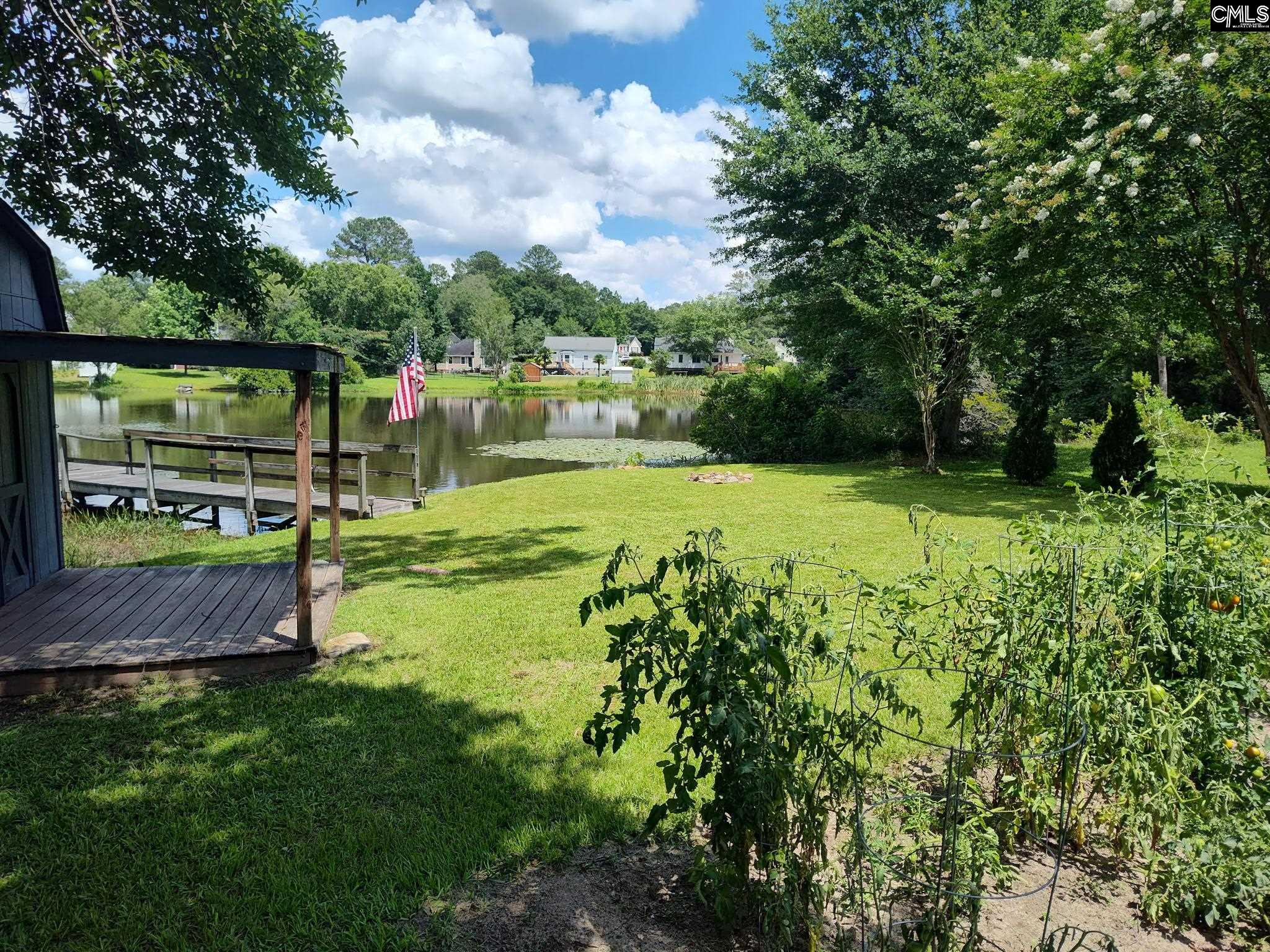 135 W Lake Drive, Lexington, South Carolina image 9