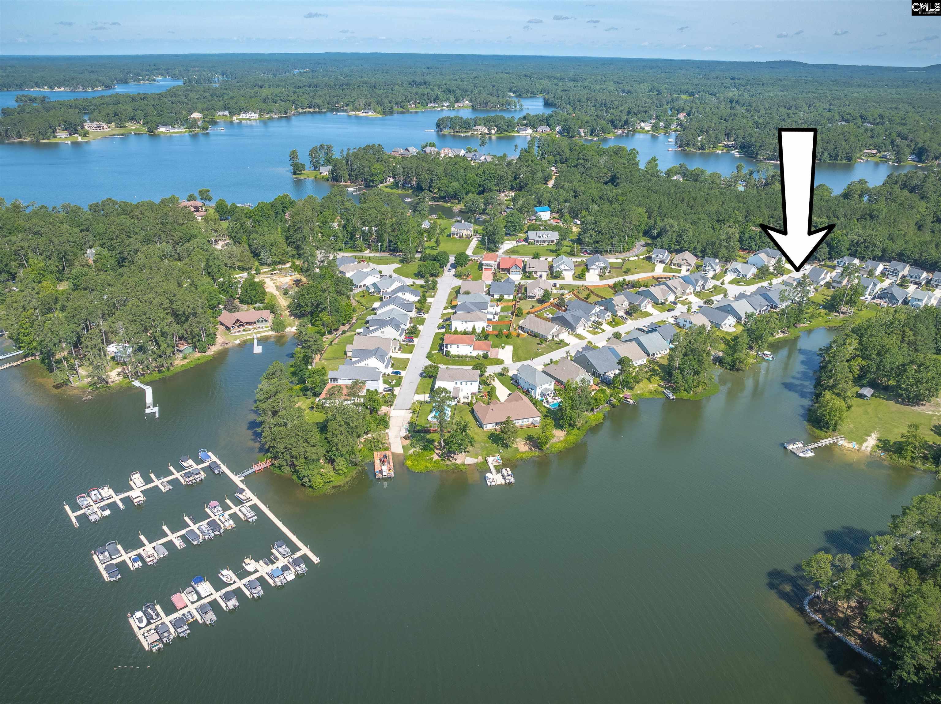 386 Amalfi Drive, Chapin, South Carolina image 11