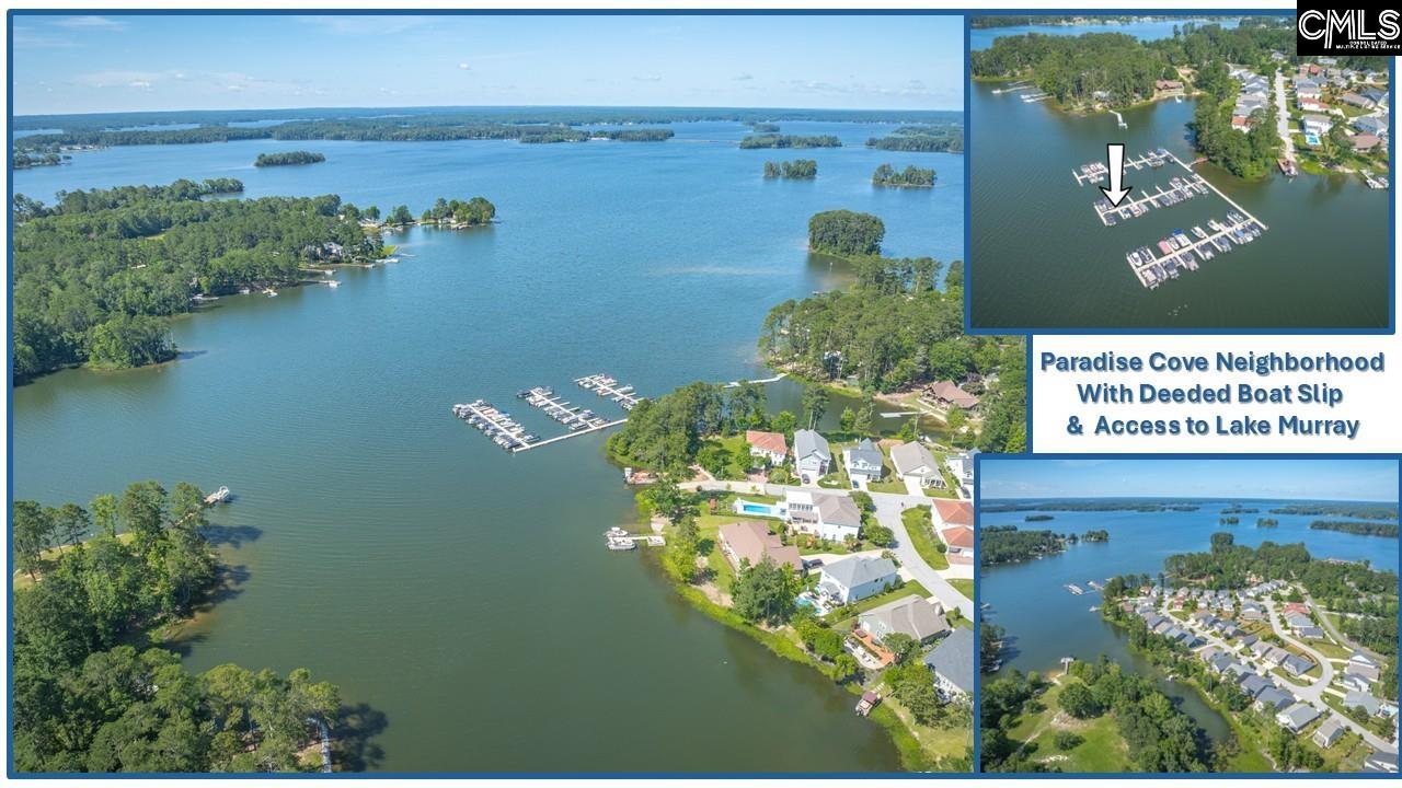 386 Amalfi Drive, Chapin, South Carolina image 12