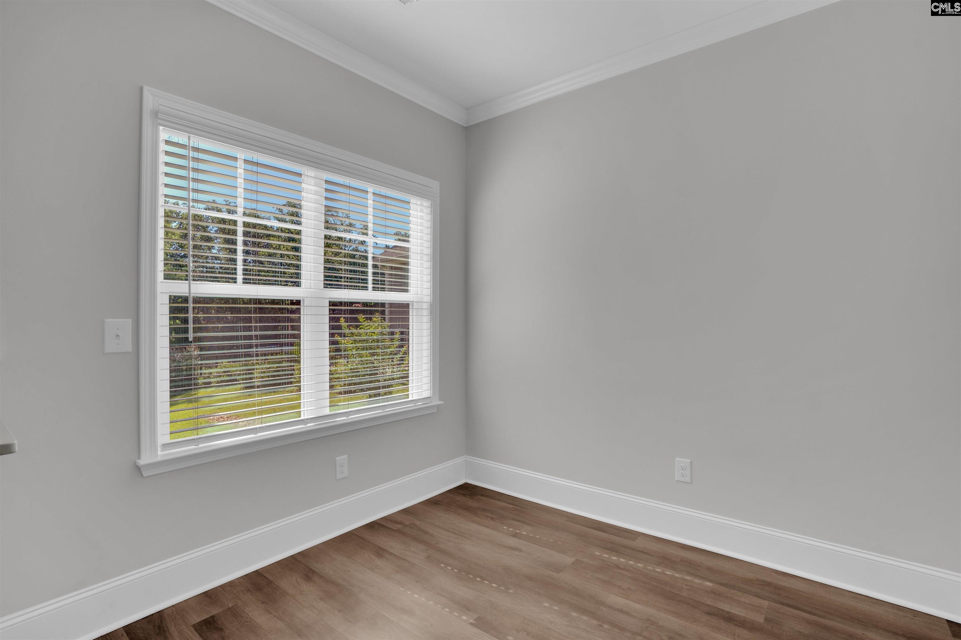 386 Amalfi Drive, Chapin, South Carolina image 19