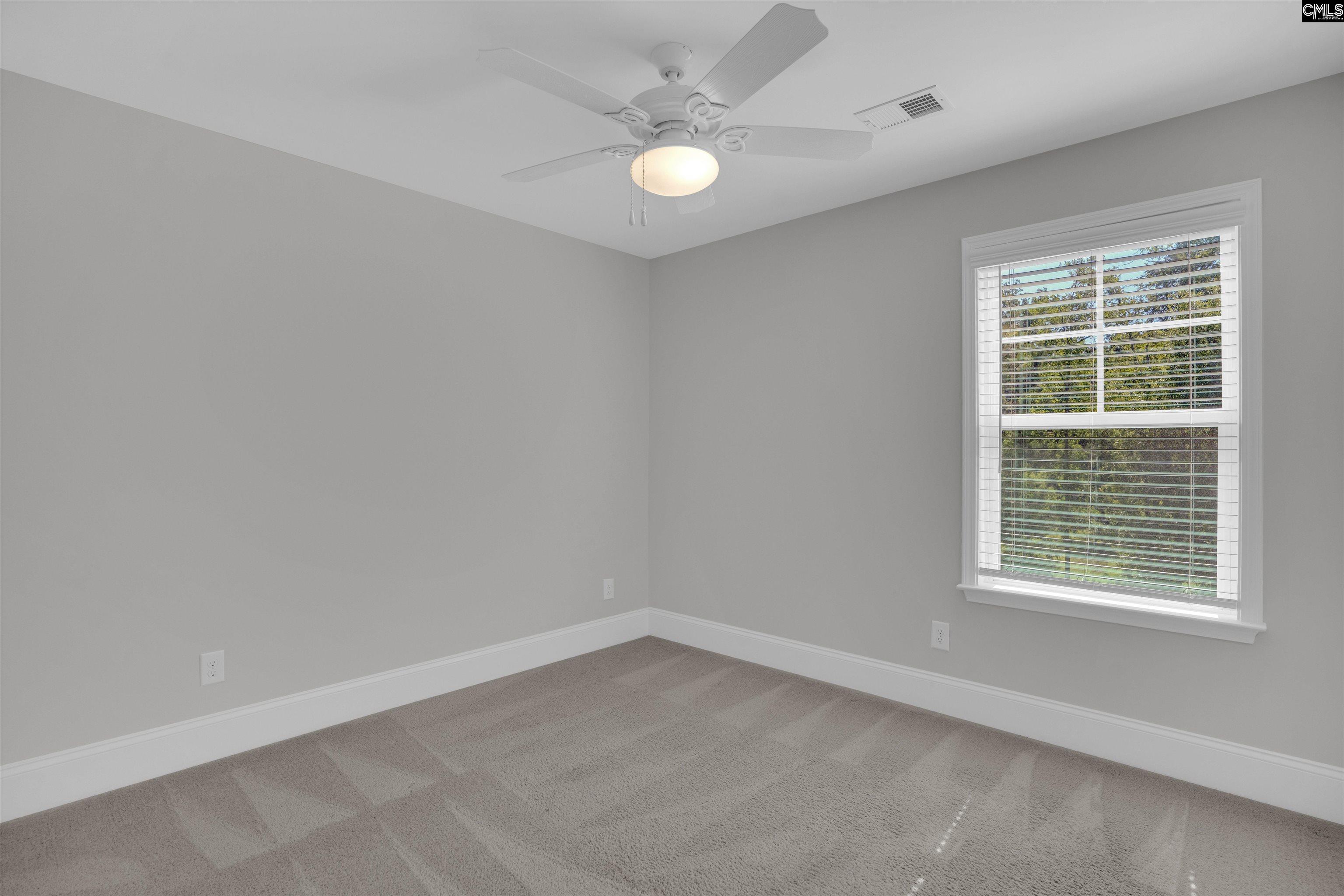 386 Amalfi Drive, Chapin, South Carolina image 37