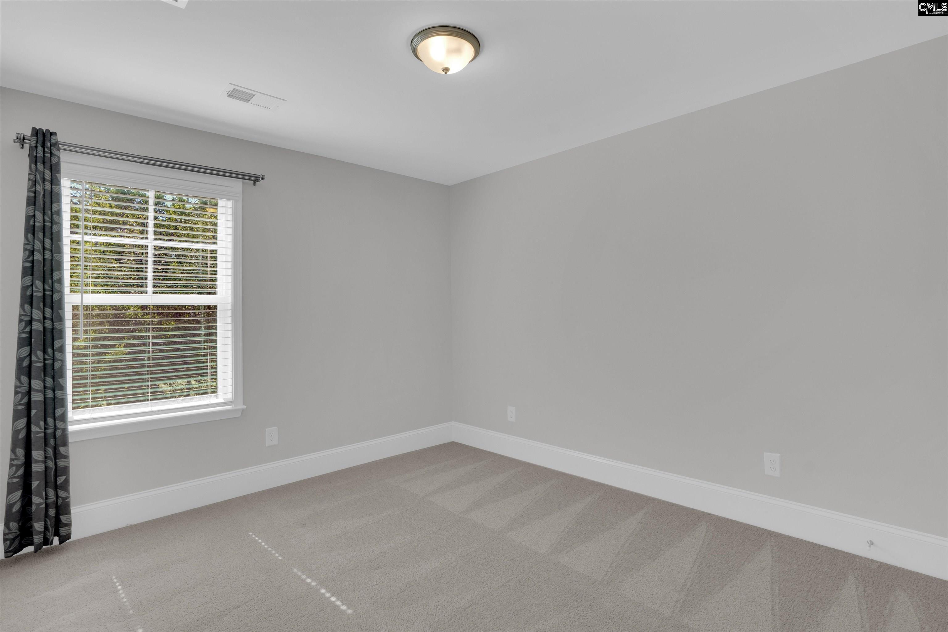 386 Amalfi Drive, Chapin, South Carolina image 40