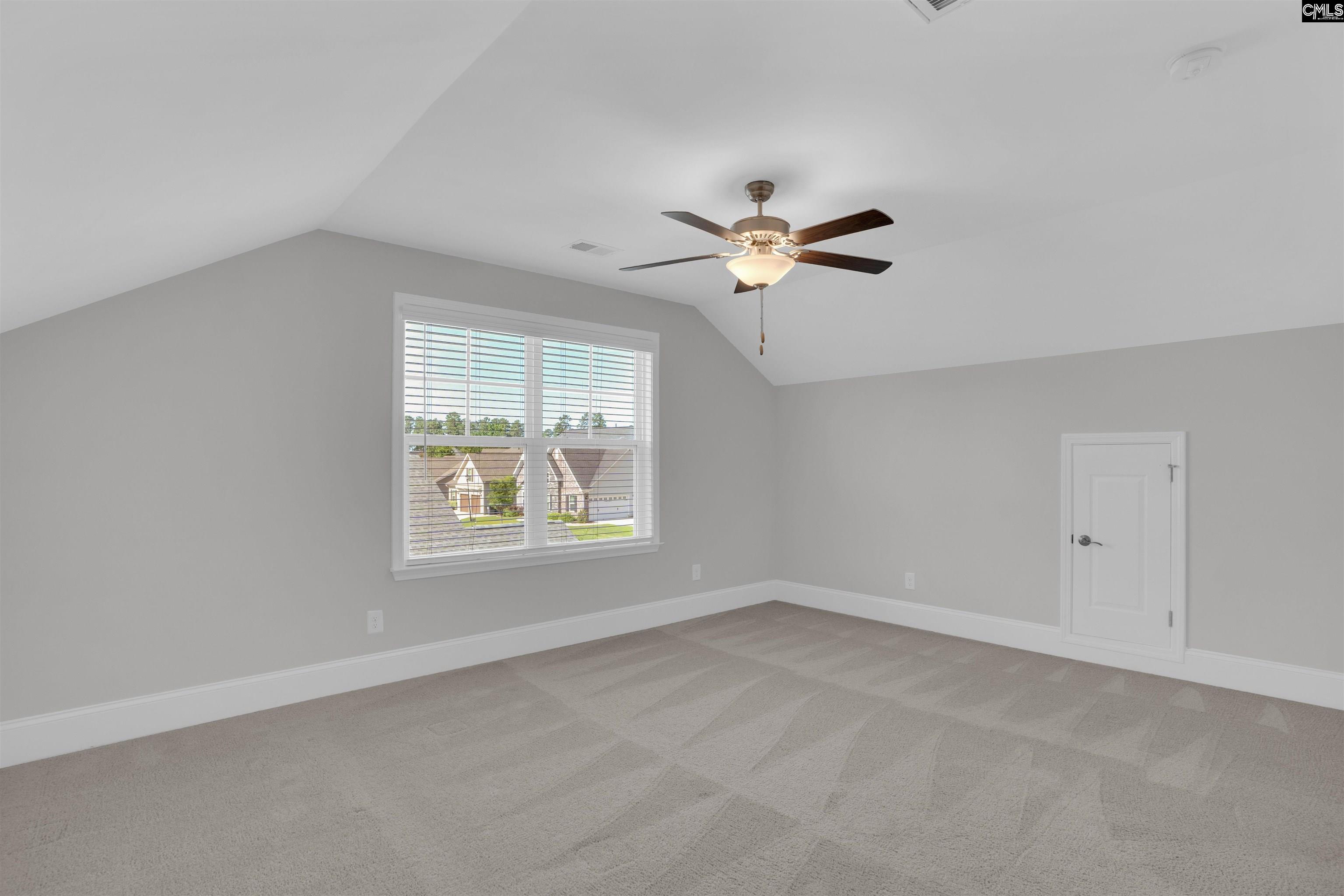 386 Amalfi Drive, Chapin, South Carolina image 46