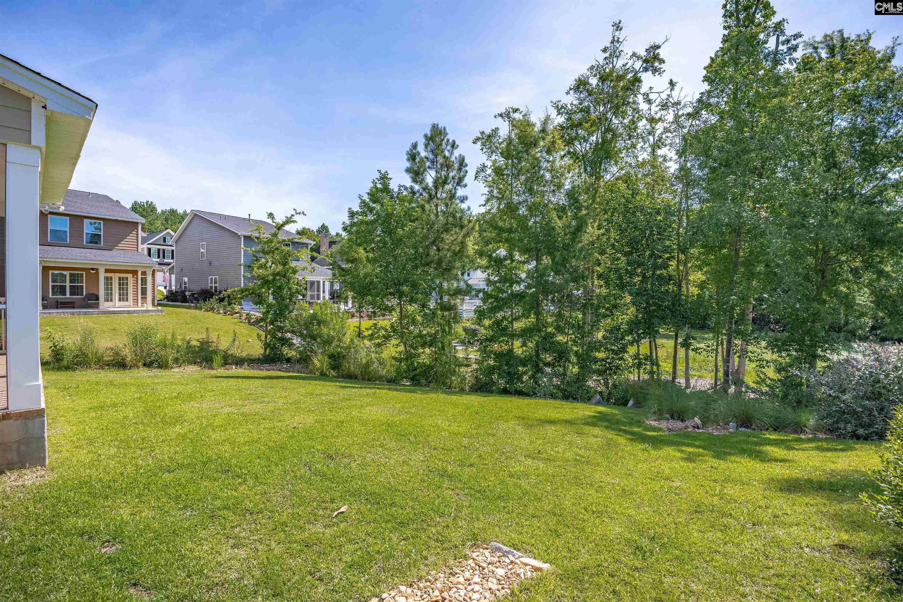 386 Amalfi Drive, Chapin, South Carolina image 49