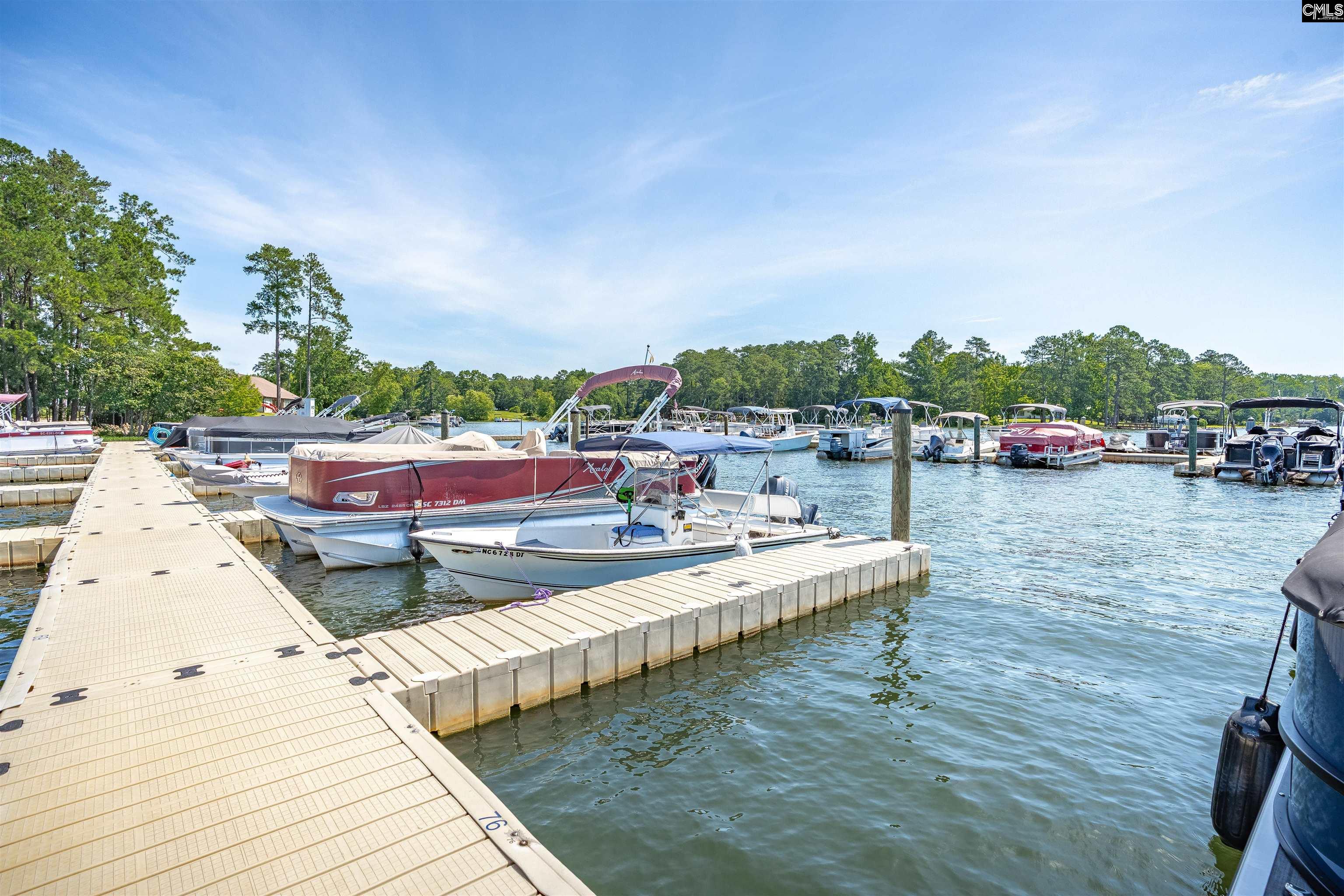 386 Amalfi Drive, Chapin, South Carolina image 9