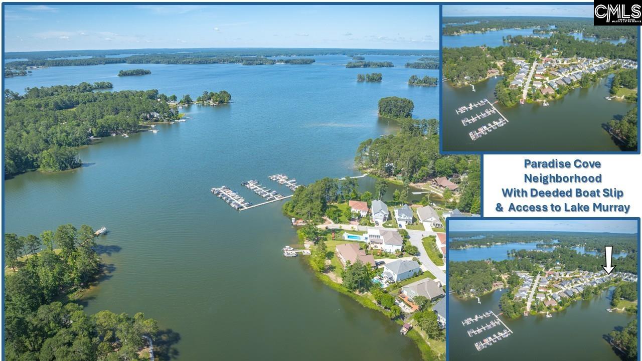386 Amalfi Drive, Chapin, South Carolina image 10