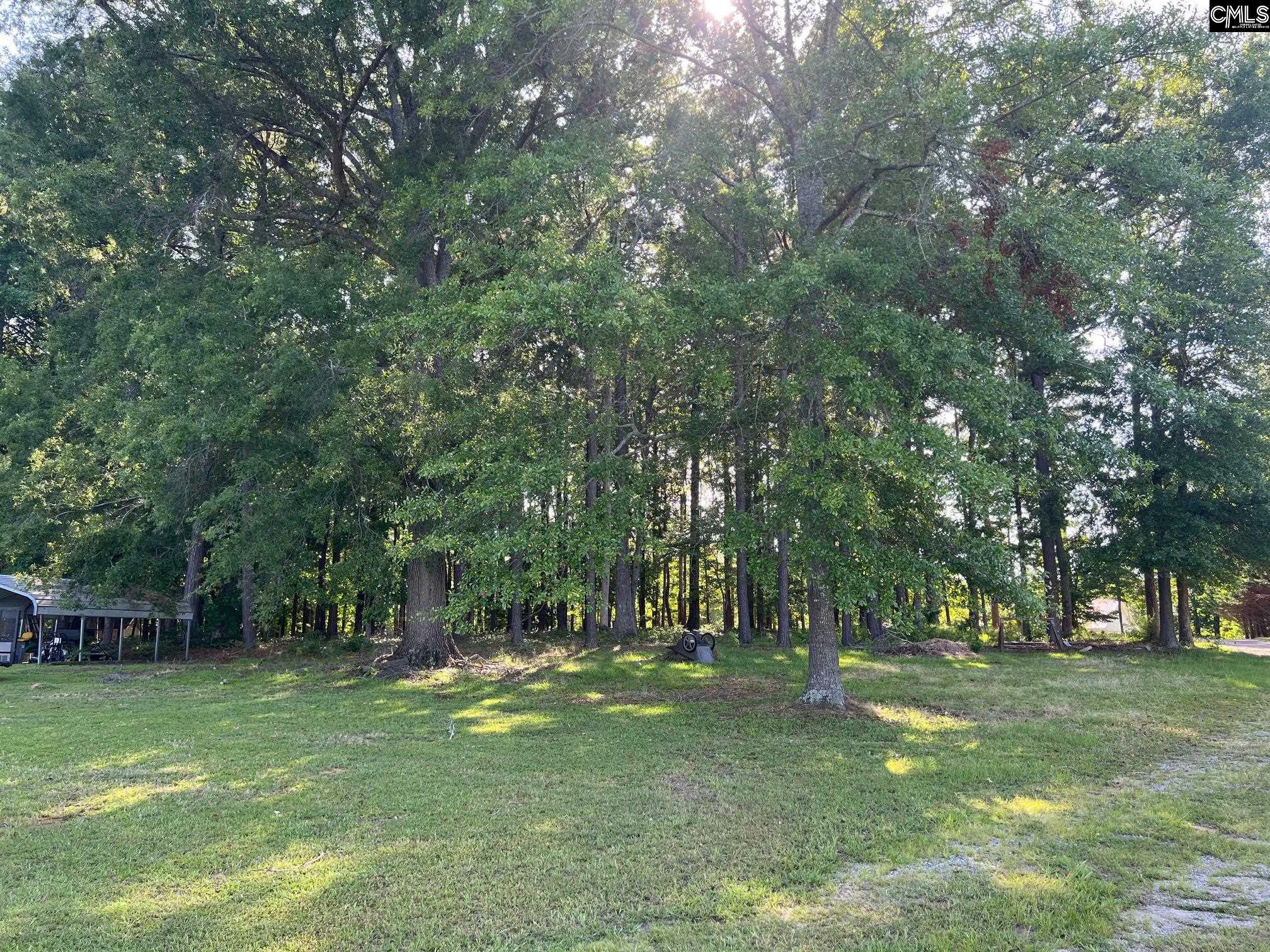 Lot A Lazy Lane #A, Ridgeway, South Carolina image 11