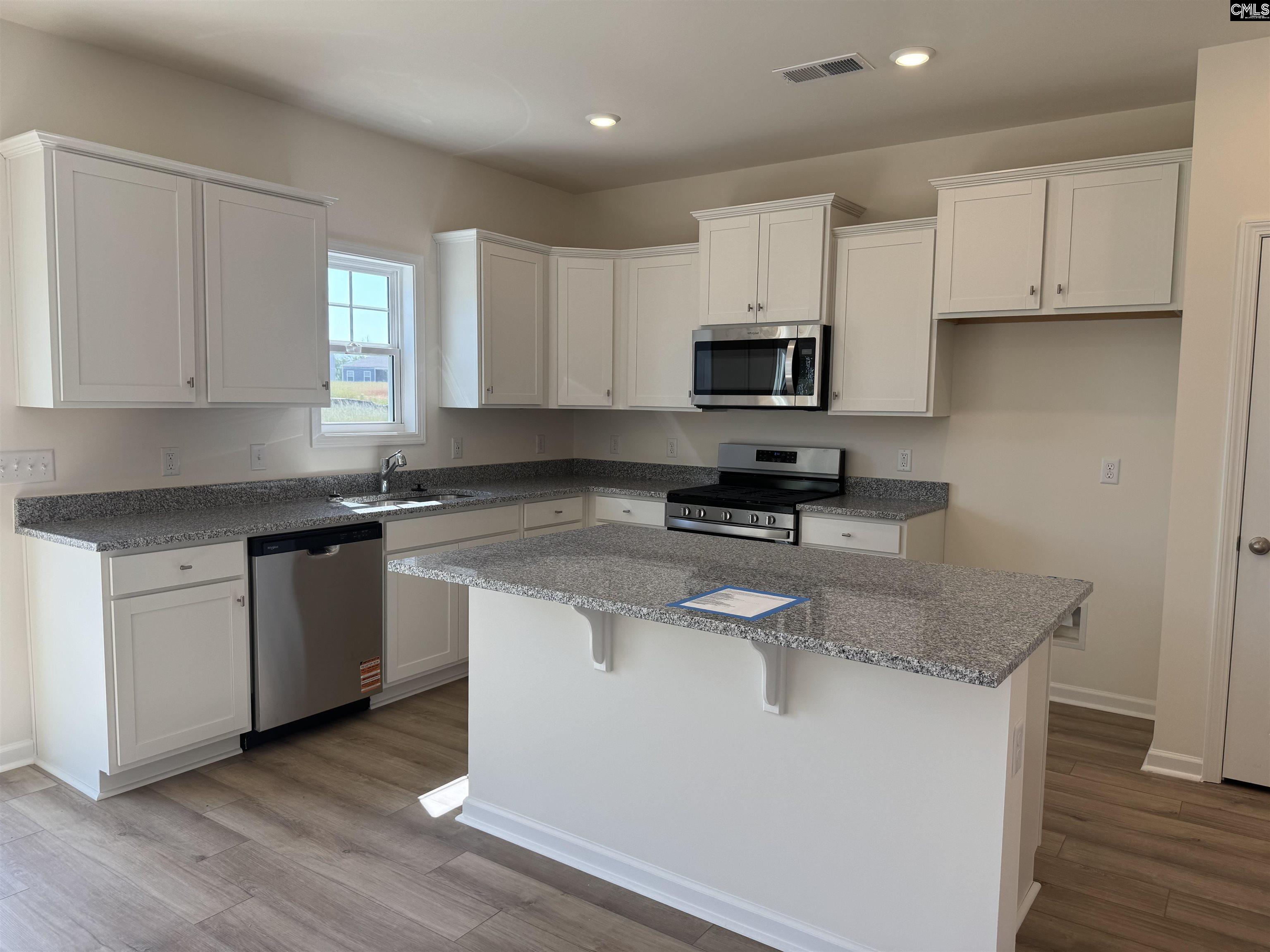 526 Griffon Drive, Chapin, South Carolina image 2