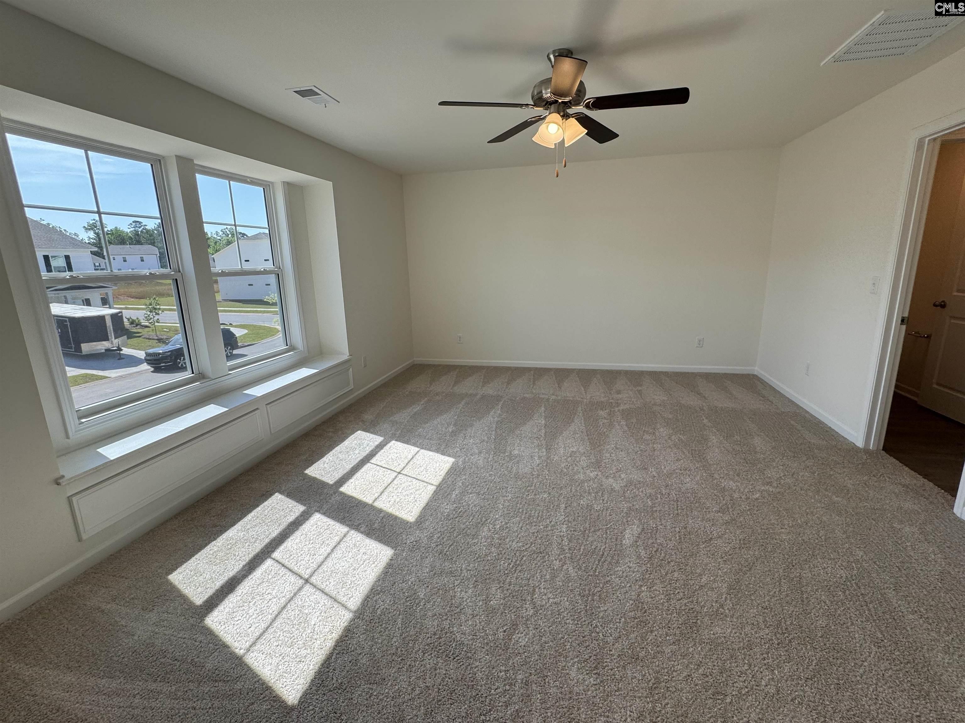526 Griffon Drive, Chapin, South Carolina image 20