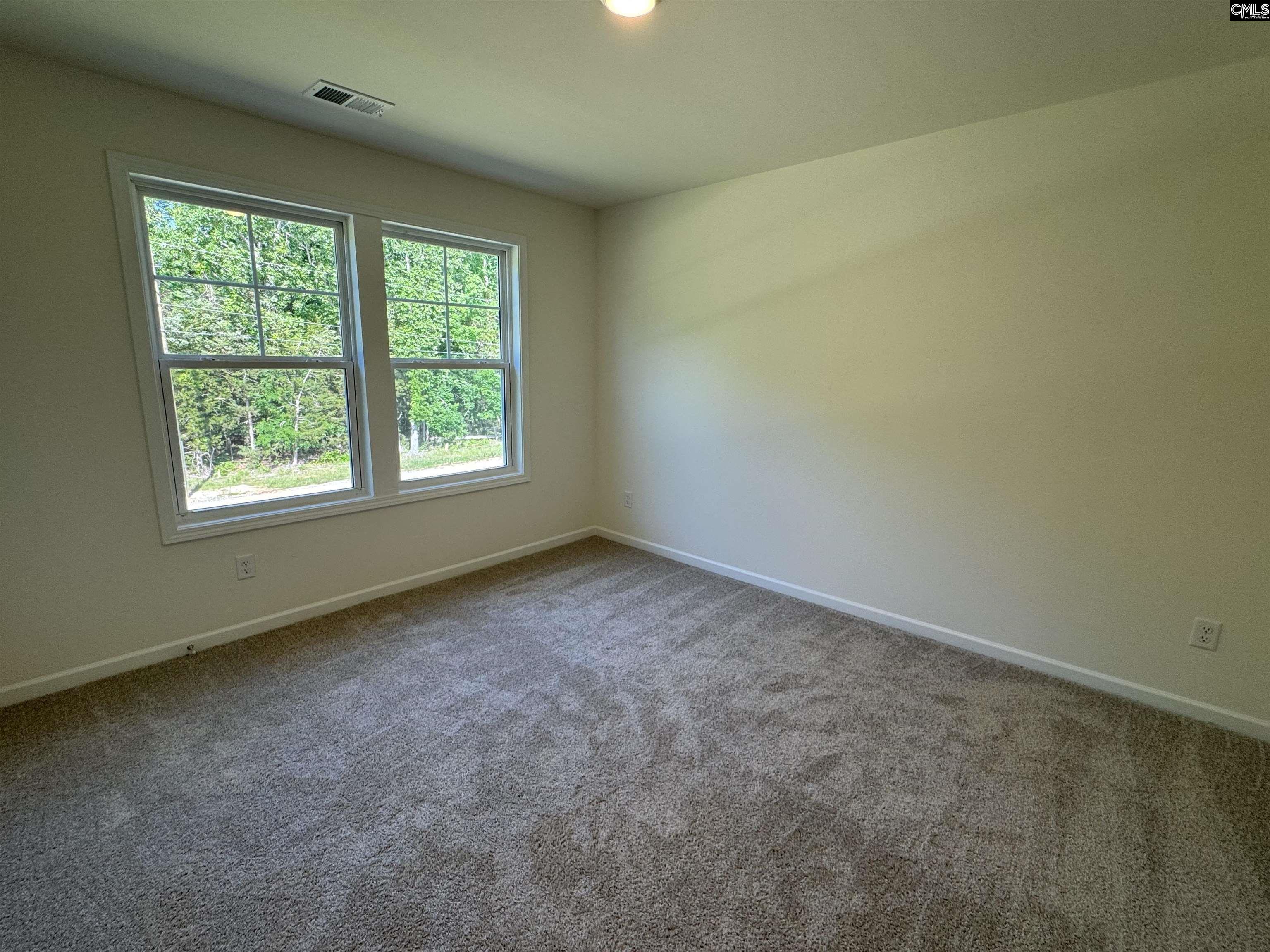 526 Griffon Drive, Chapin, South Carolina image 24