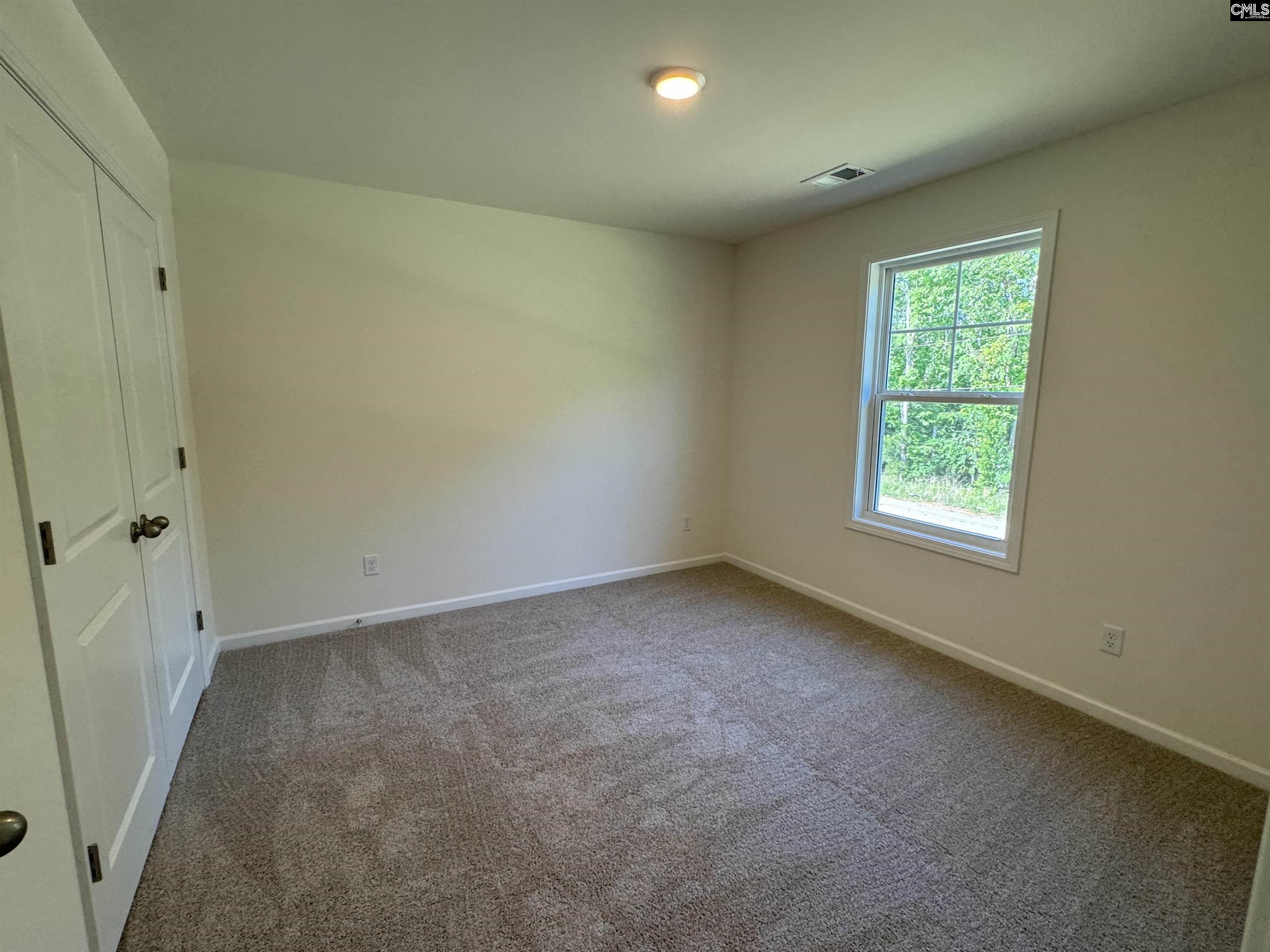 526 Griffon Drive, Chapin, South Carolina image 25