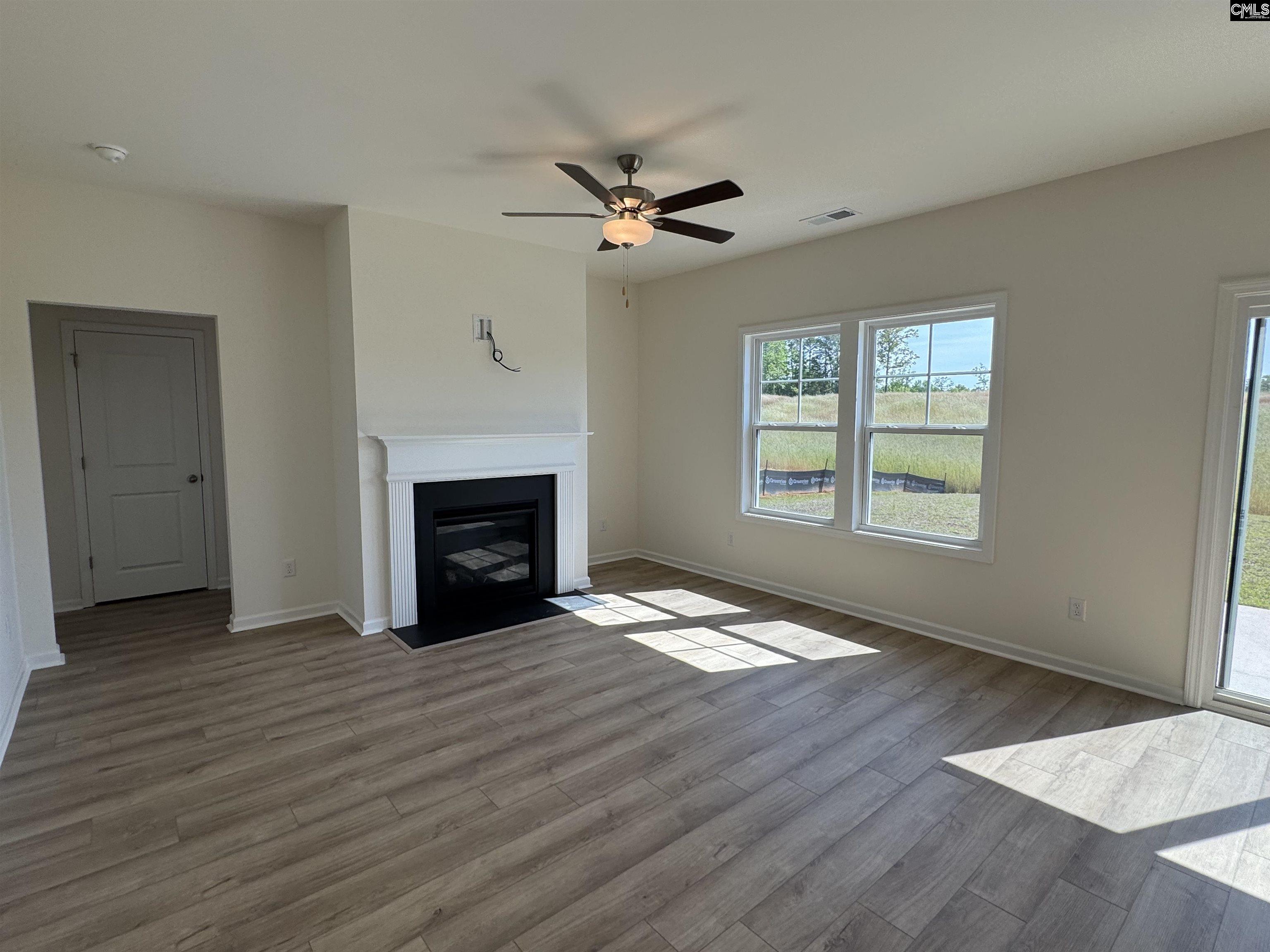 526 Griffon Drive, Chapin, South Carolina image 5