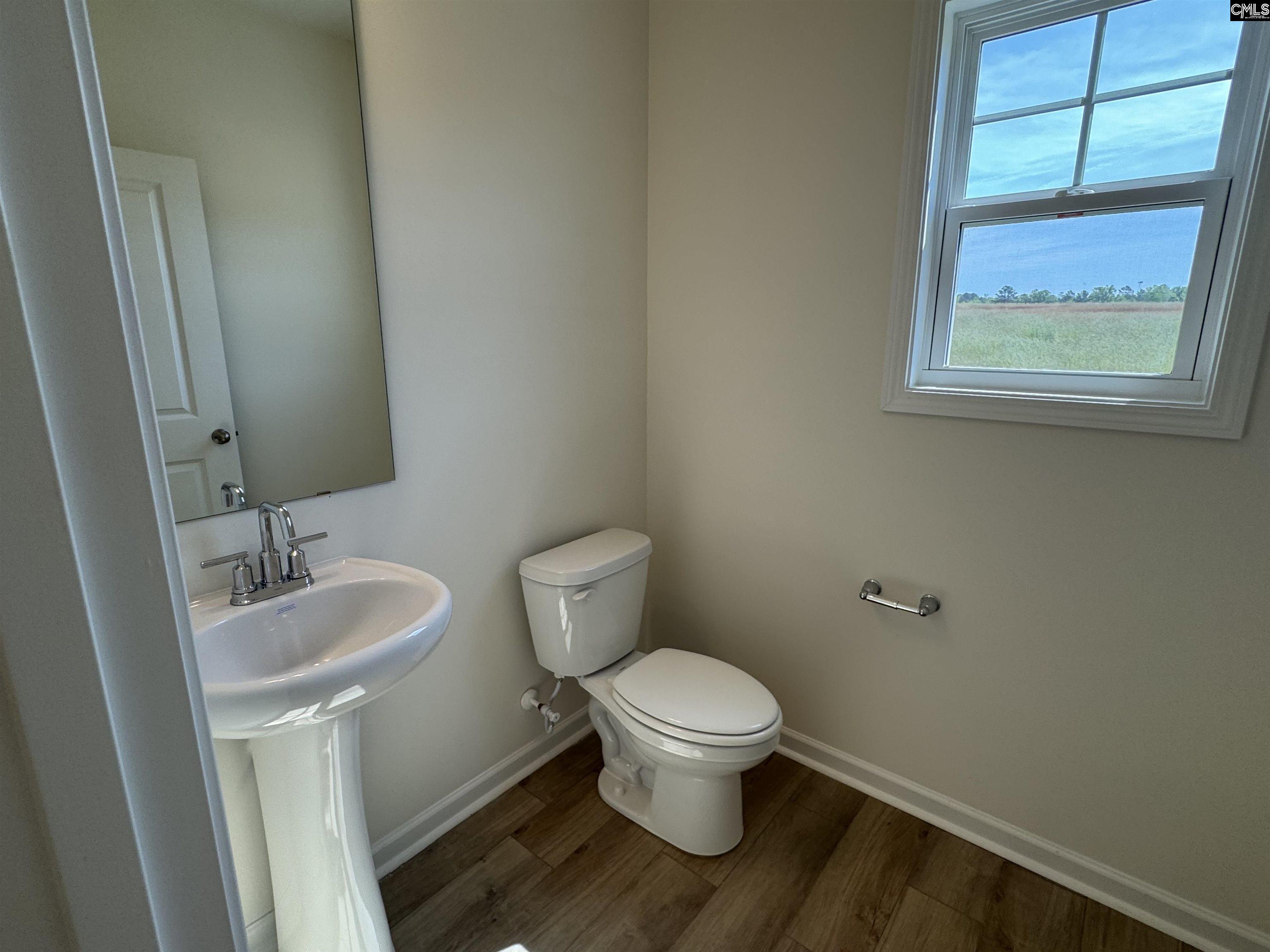 526 Griffon Drive, Chapin, South Carolina image 7