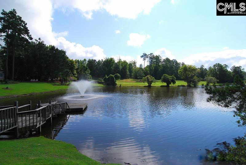 256 Sheringham Road, Columbia, South Carolina image 48