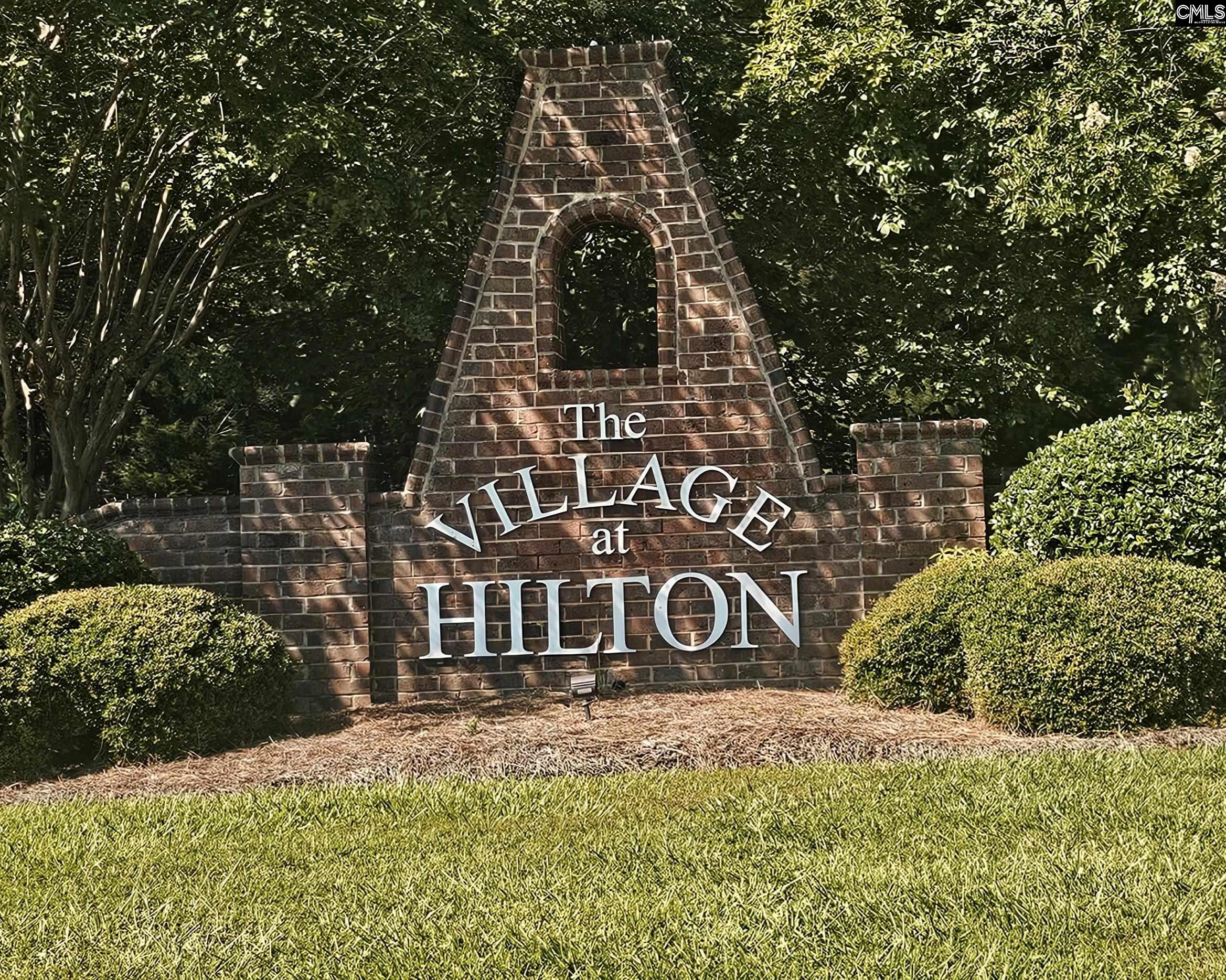 115 Lake Hilton Drive, Chapin, South Carolina image 11