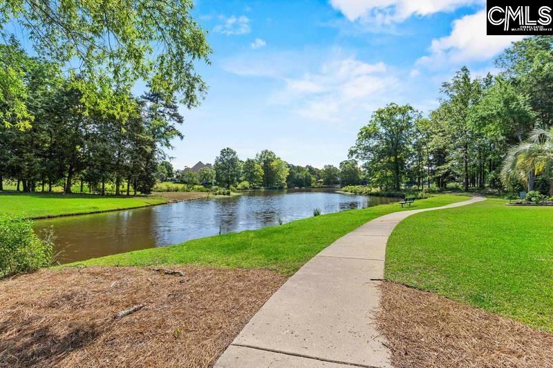 115 Lake Hilton Drive, Chapin, South Carolina image 13