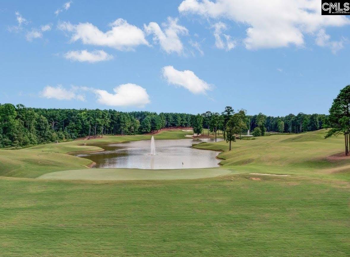 15 Alumni Lane, Blythewood, South Carolina image 22