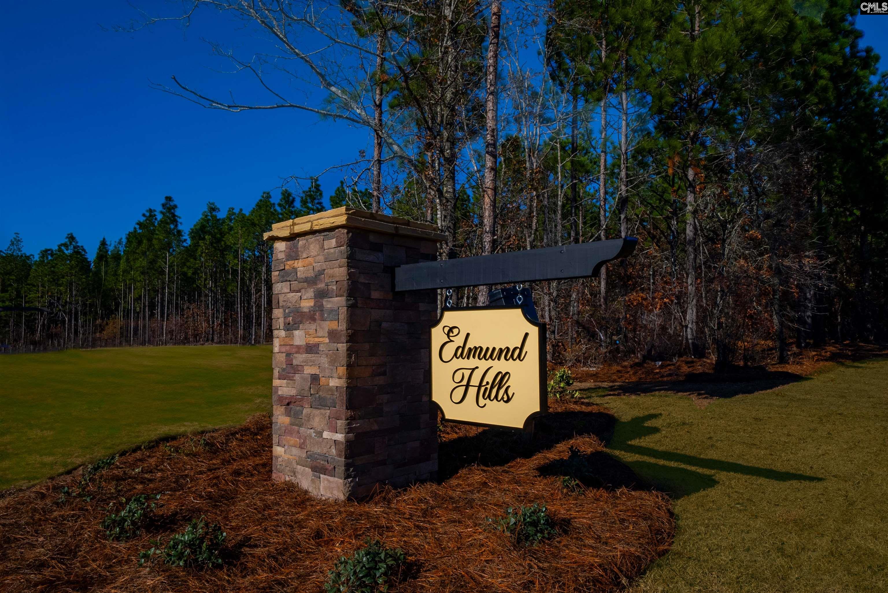 187 Federation Street, Lexington, South Carolina image 25