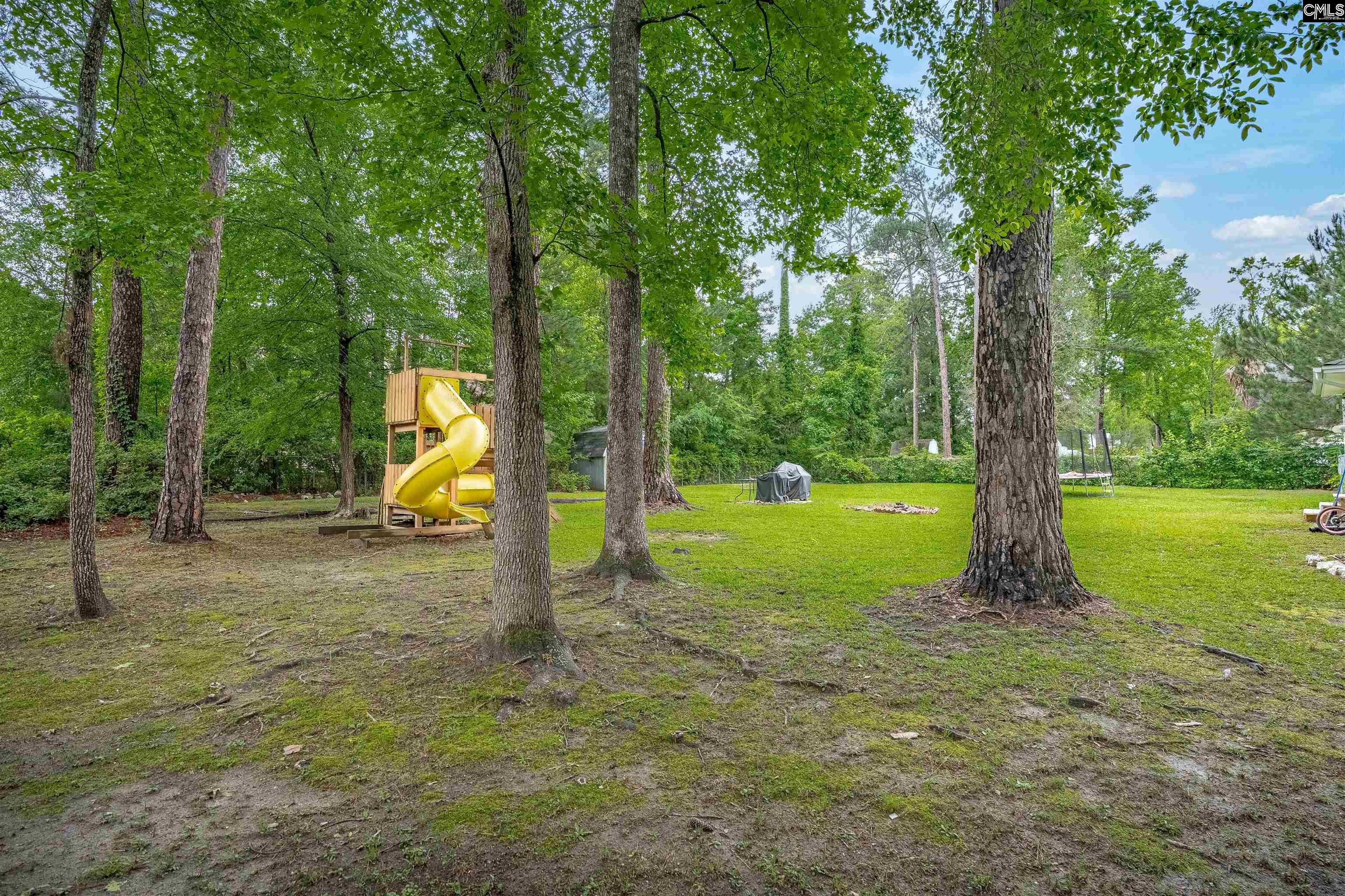 208 Delchester Delchester Drive, Elgin, South Carolina image 37