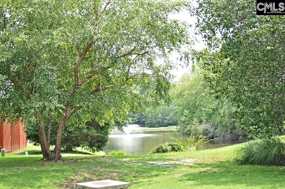 305 Willowood Parkway Chapin, SC 29036